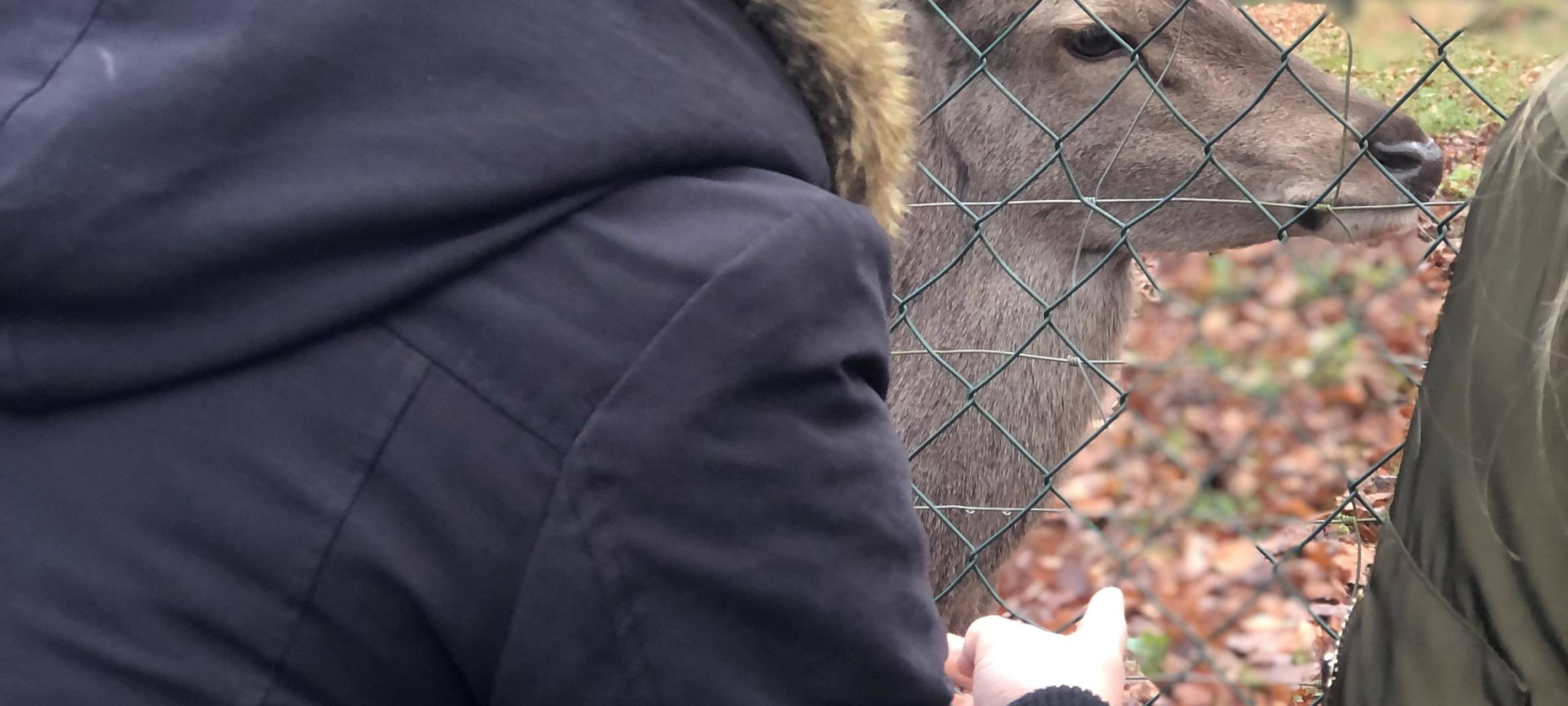 Begegnungen gegen Einsamkeit im Heissiwald Essen