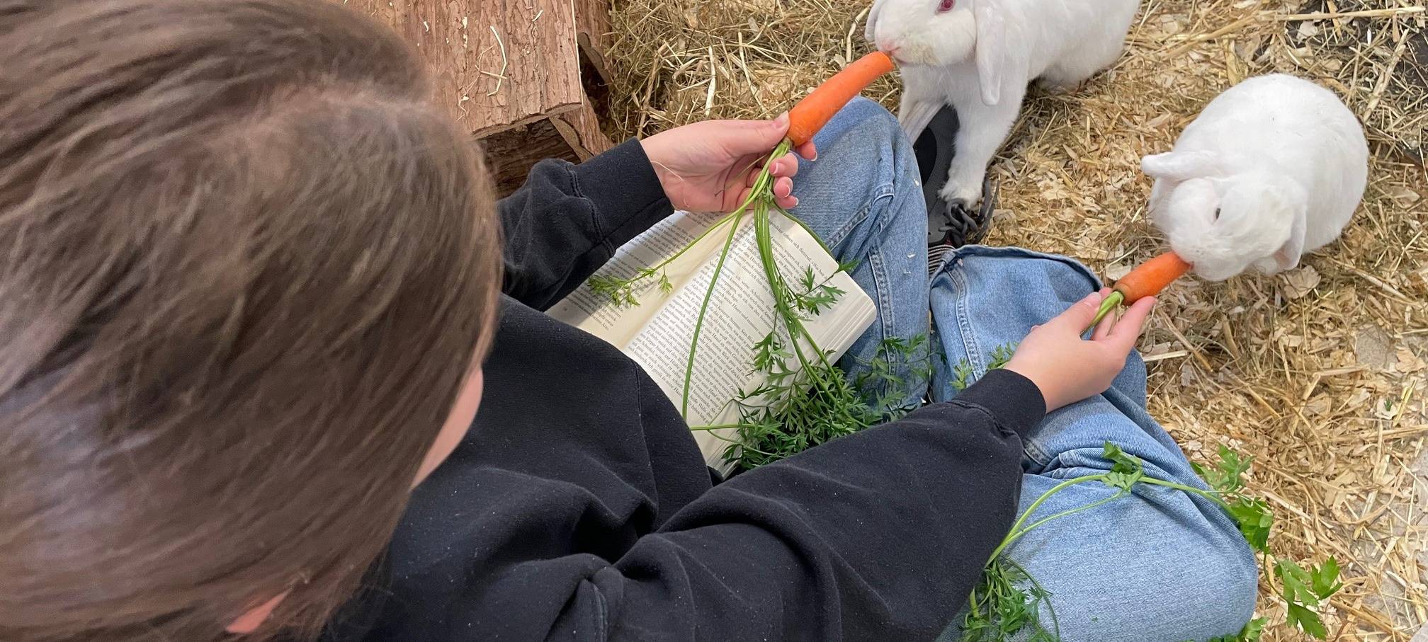 Herbstferien-Tipps in Essen - nicht nur für Kinder