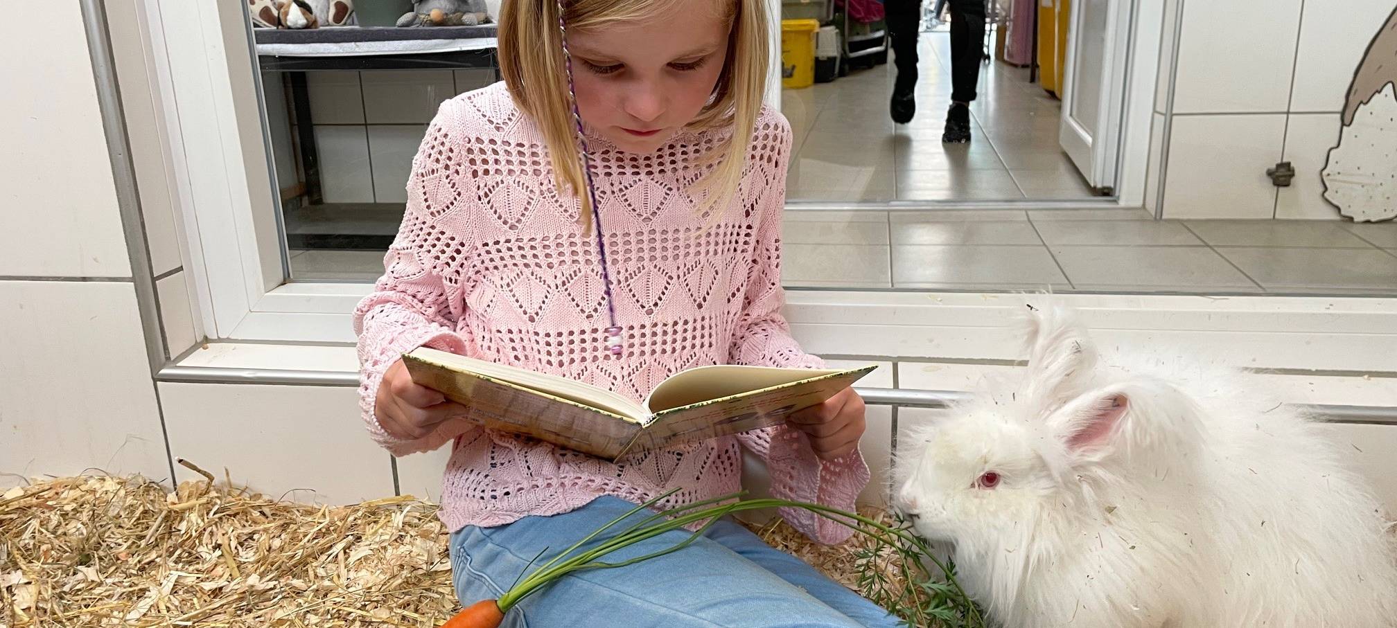 Herbstferien-Tipps in Essen - nicht nur für Kinder
