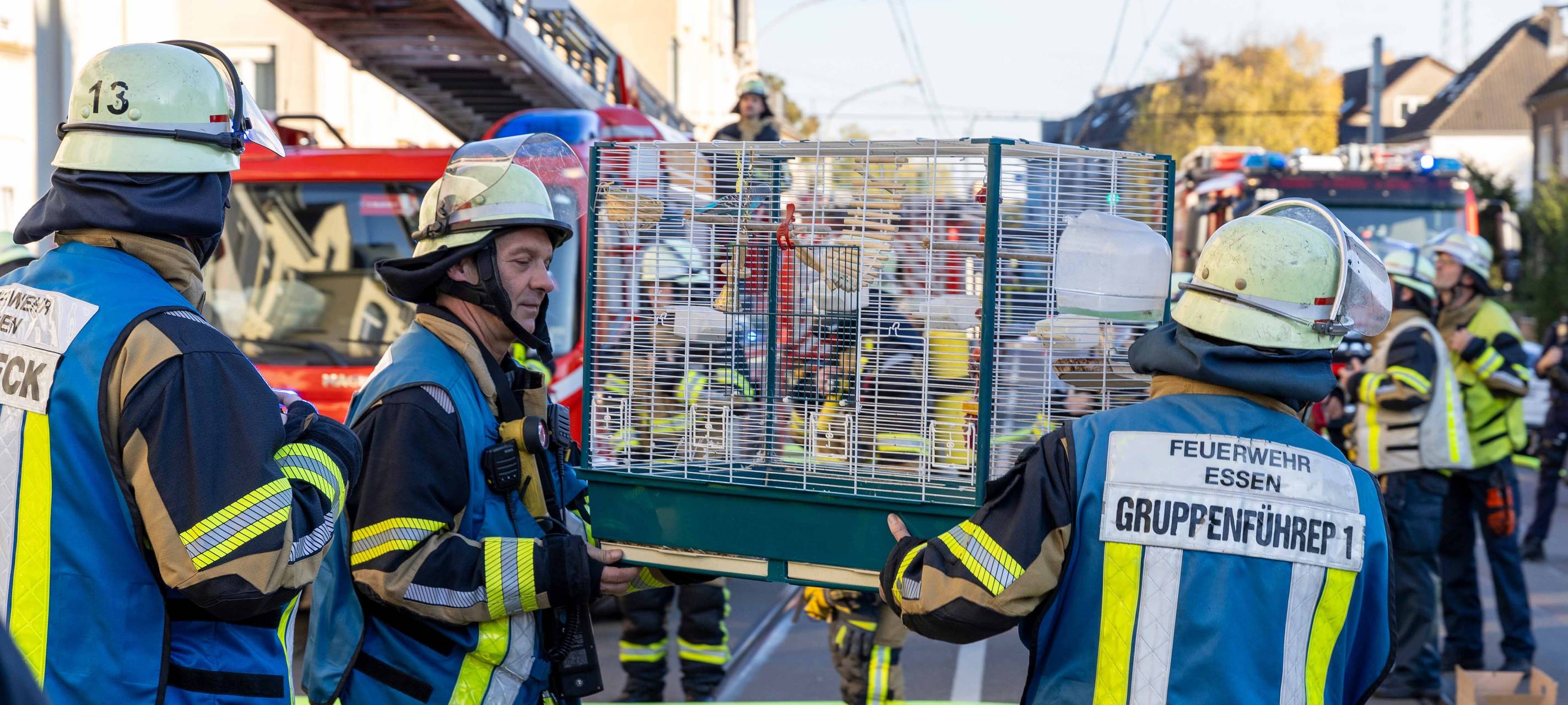 Wohnungsbrand in Essen – Feuerwehr rettet Menschen aus Gebäude