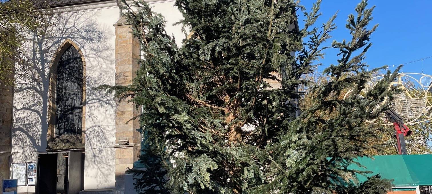 Weihnachtsmarkt in Essen soll neue Tanne bekommen