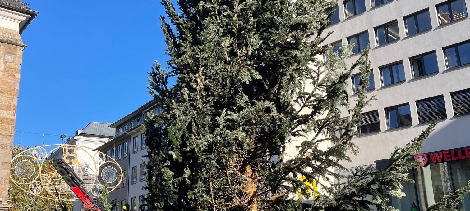 Weihnachtsmarkt in Essen soll neue Tanne bekommen