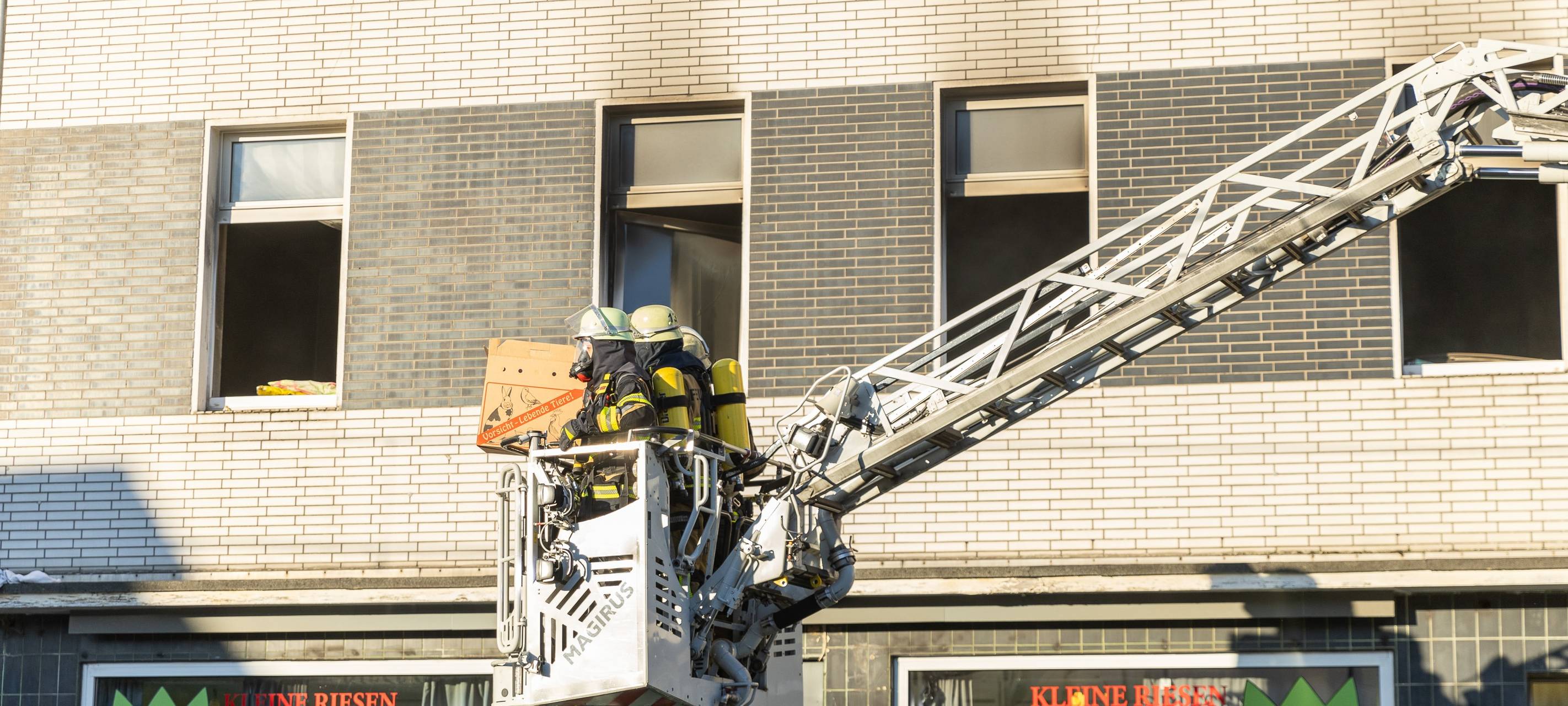 Wohnungsbrand in Essen – Feuerwehr rettet Menschen aus Gebäude