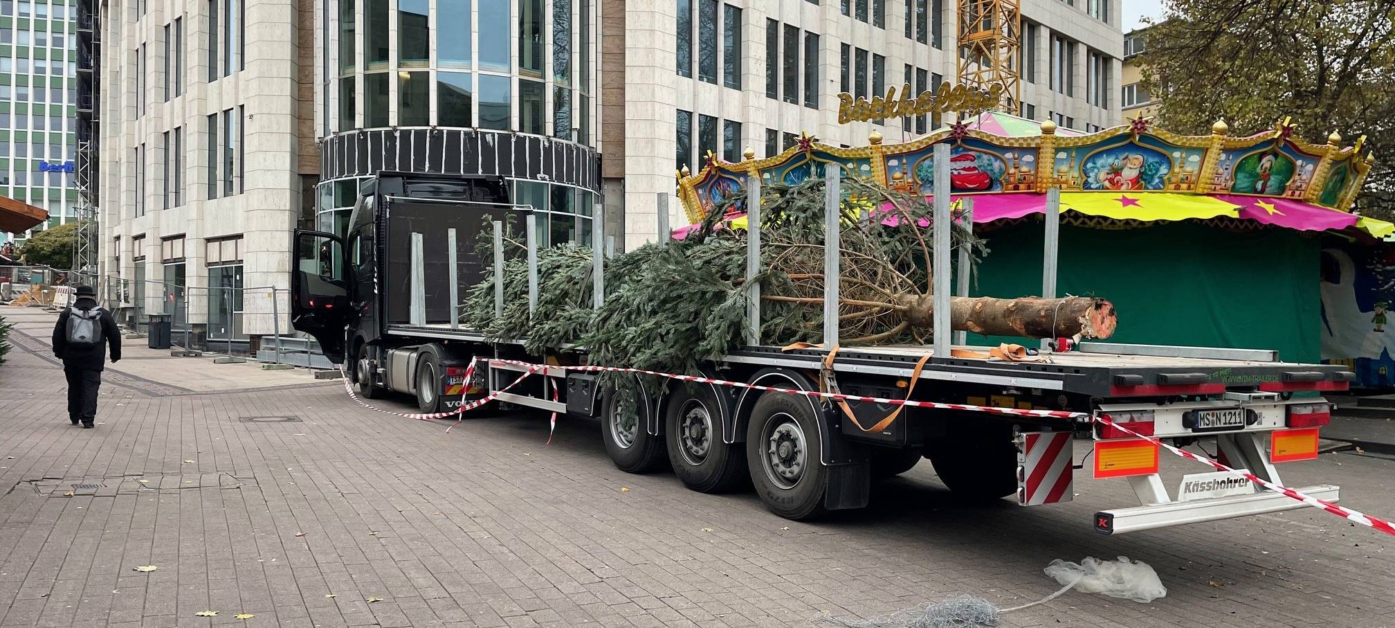 Weihnachtsmarkt in Essen soll neue Tanne bekommen