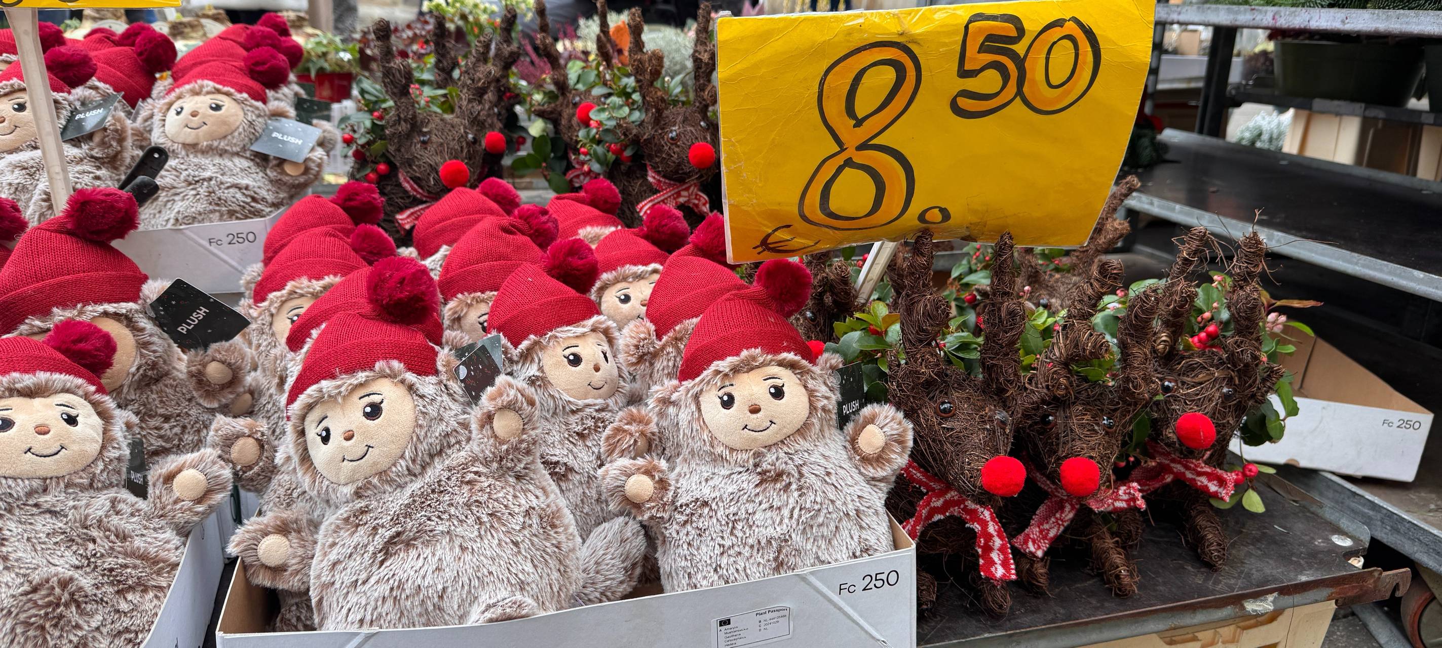 Blumenstand am Dom in Essen wird 30 Jahre alt
