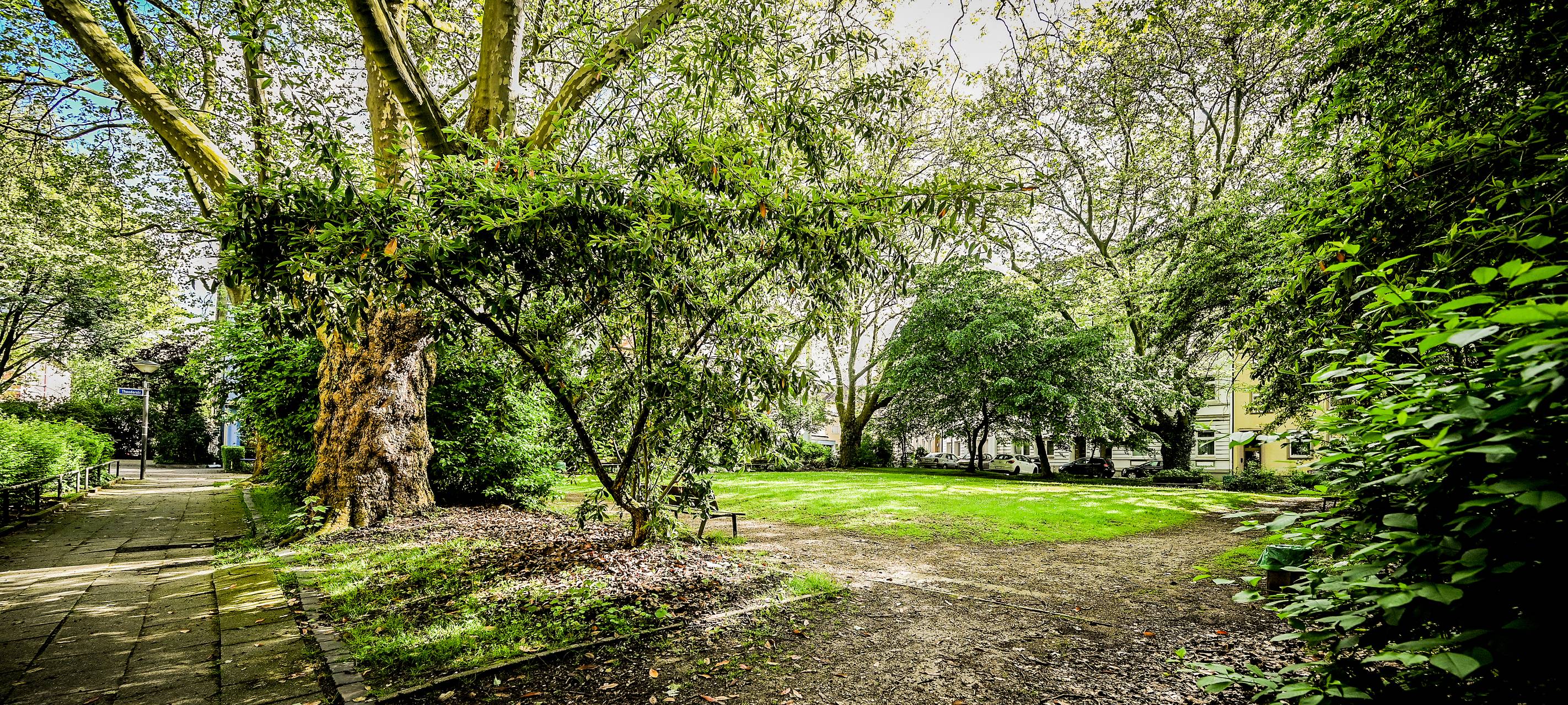 Viertel in Essen wird umgestaltet - Erster Bauabschnitt