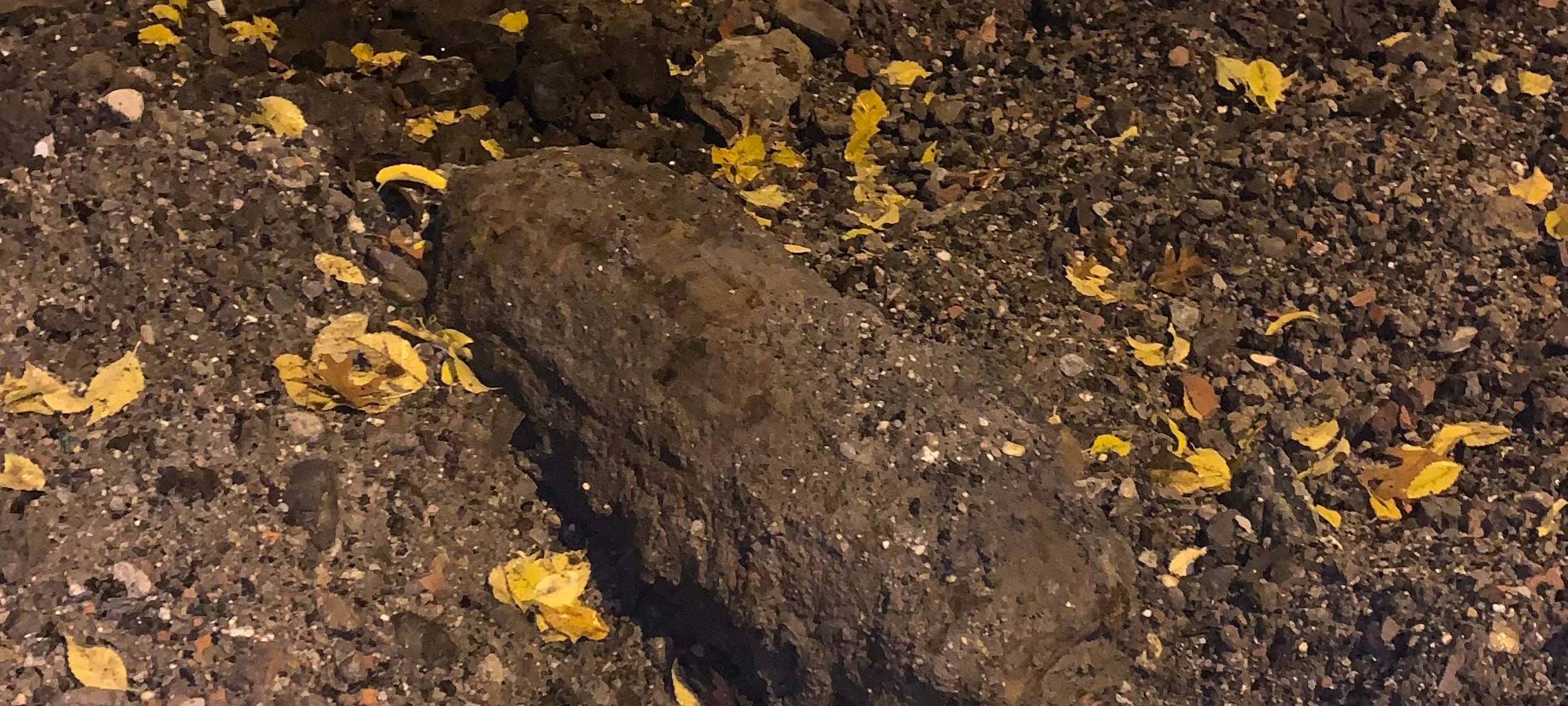 Bombe in Essen: Live-Ticker zur Bombenentschärfung in Rüttenscheid