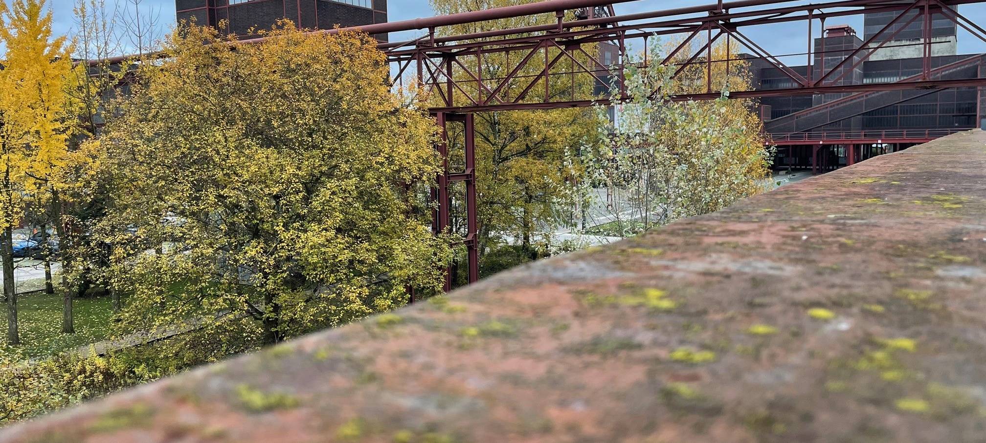 Neue Fotoausstellung in Essen: "Als Flaneur auf Zollverein"