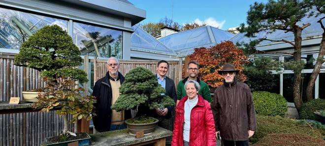 Bonsaisammlung in Essen bekommt Zuwachs