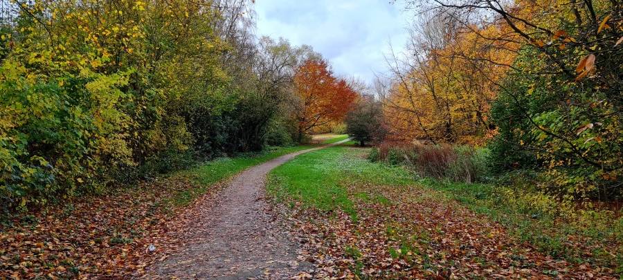 Grünanlage in Essen wird umgestaltet