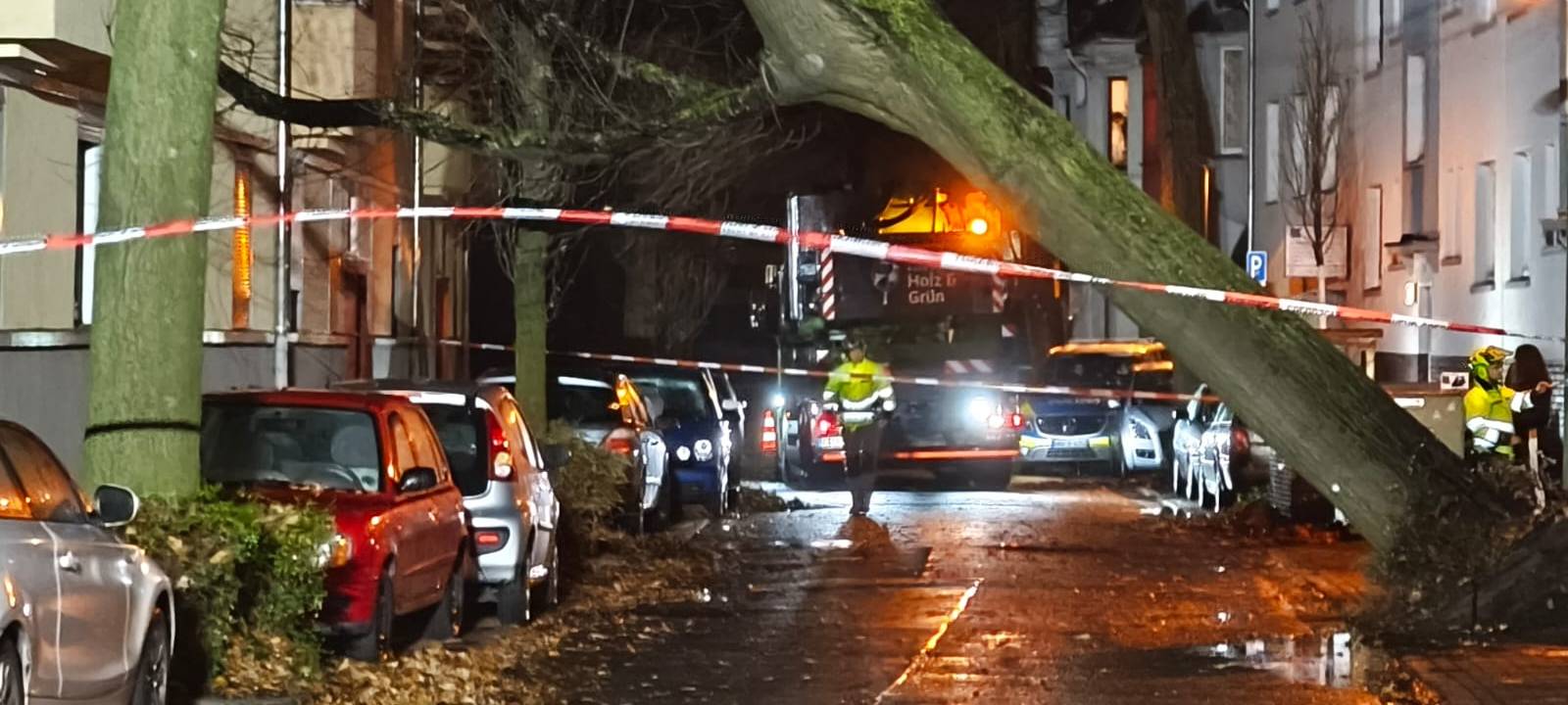 Baum in Essen auf Haus gestürzt