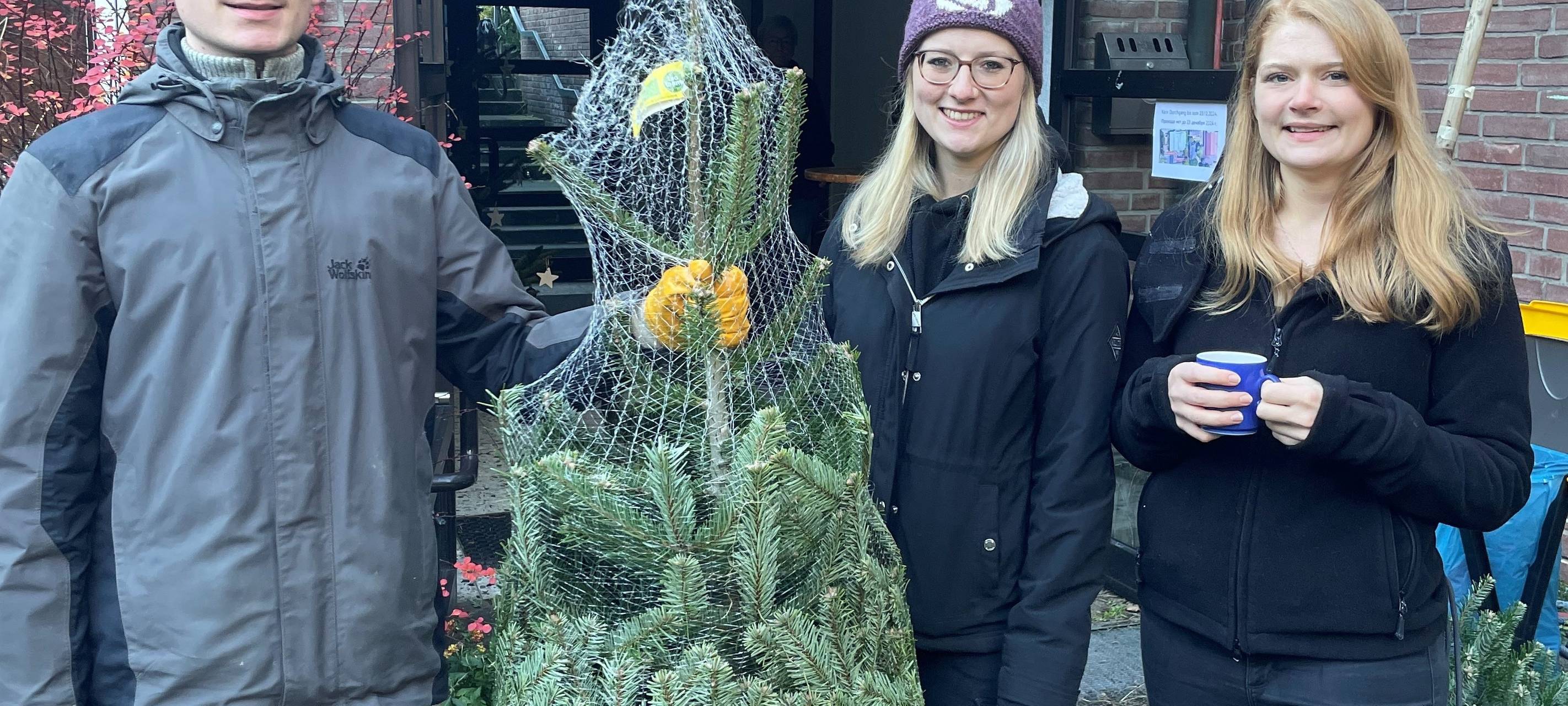 Tannenbaumverkauf in Essen: So erkennt Ihr einen guten Baum!