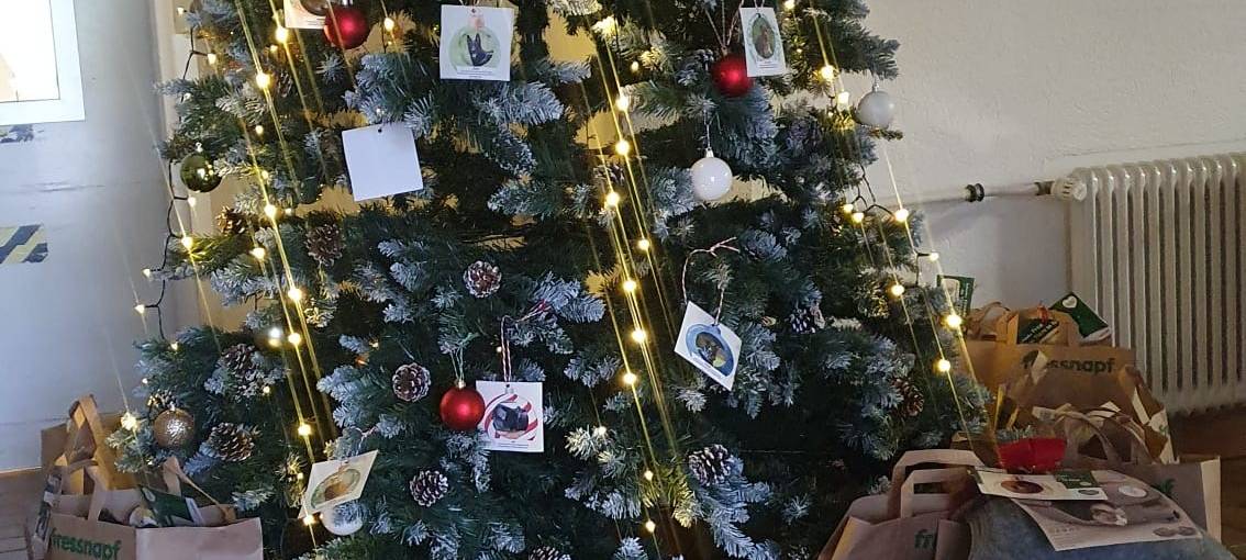 Weihnachtsbaum für Tiere in Essen