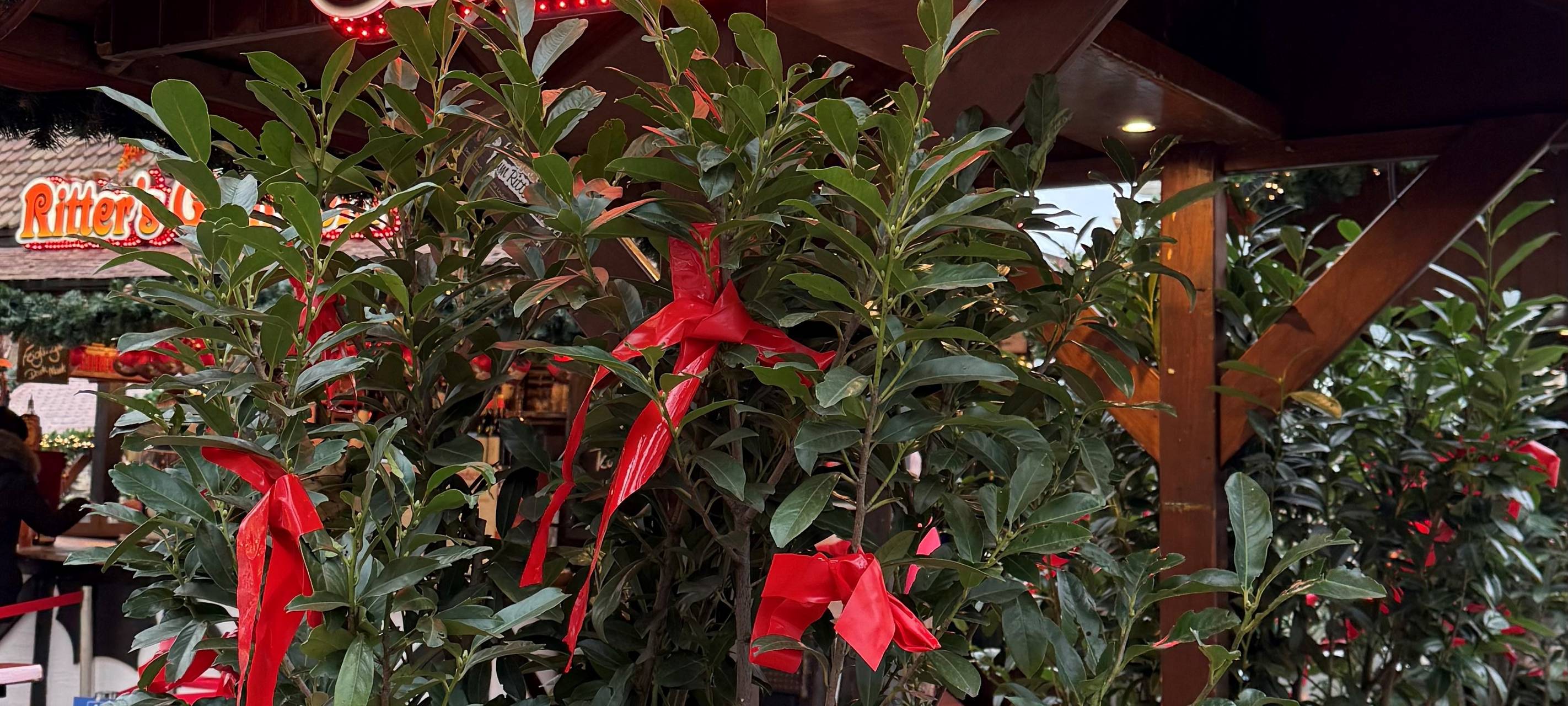 Der Radio Essen-Glühweintest