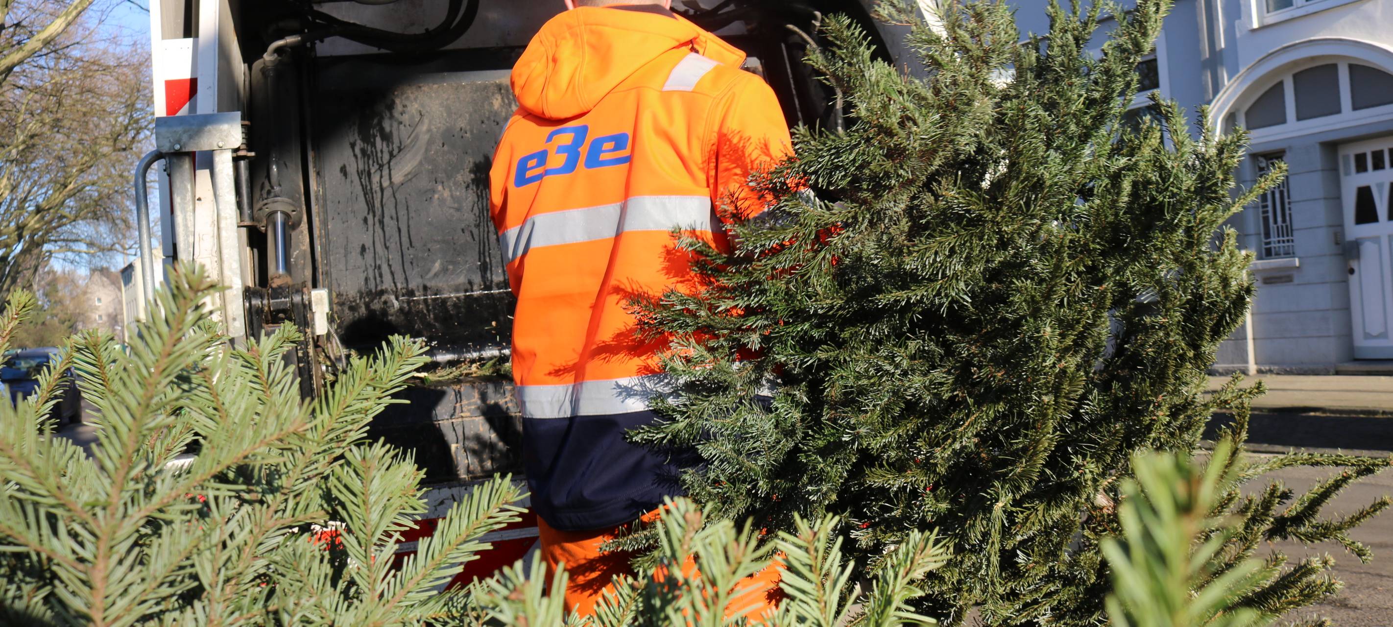 Weihnachtsbaum-Abholung 2025 in Essen