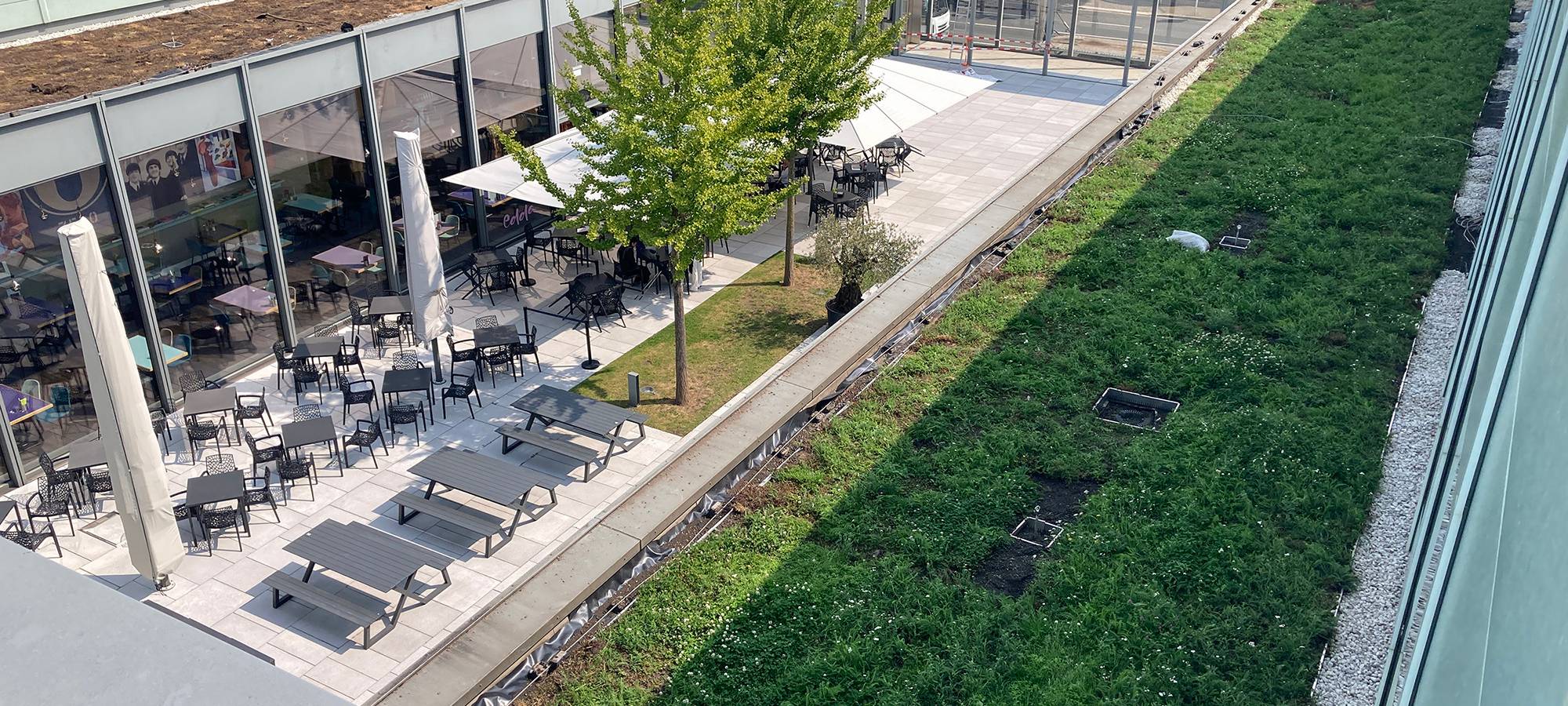 Museum Folkwang in Essen wird klimafreundlicher