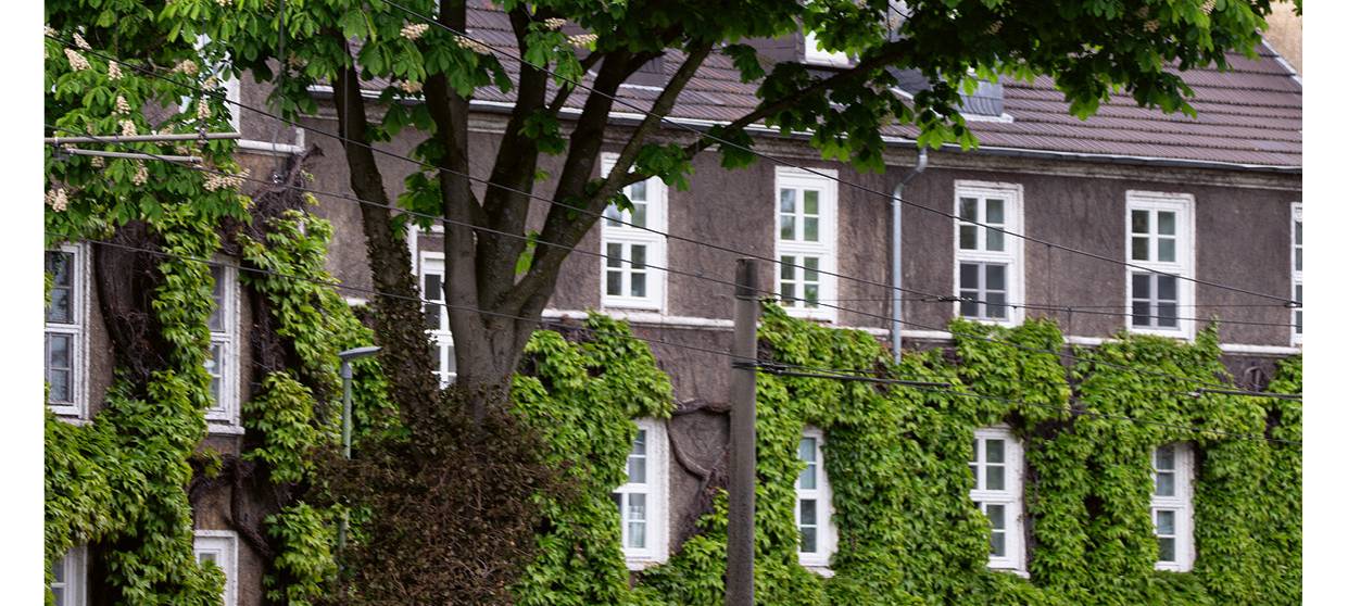 Neuer Kalender für Essen: die schönsten Seiten der Höhe