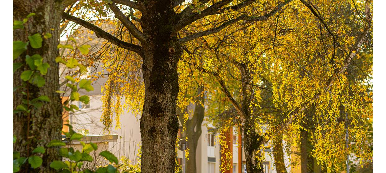 Neuer Kalender für Essen: die schönsten Seiten der Höhe