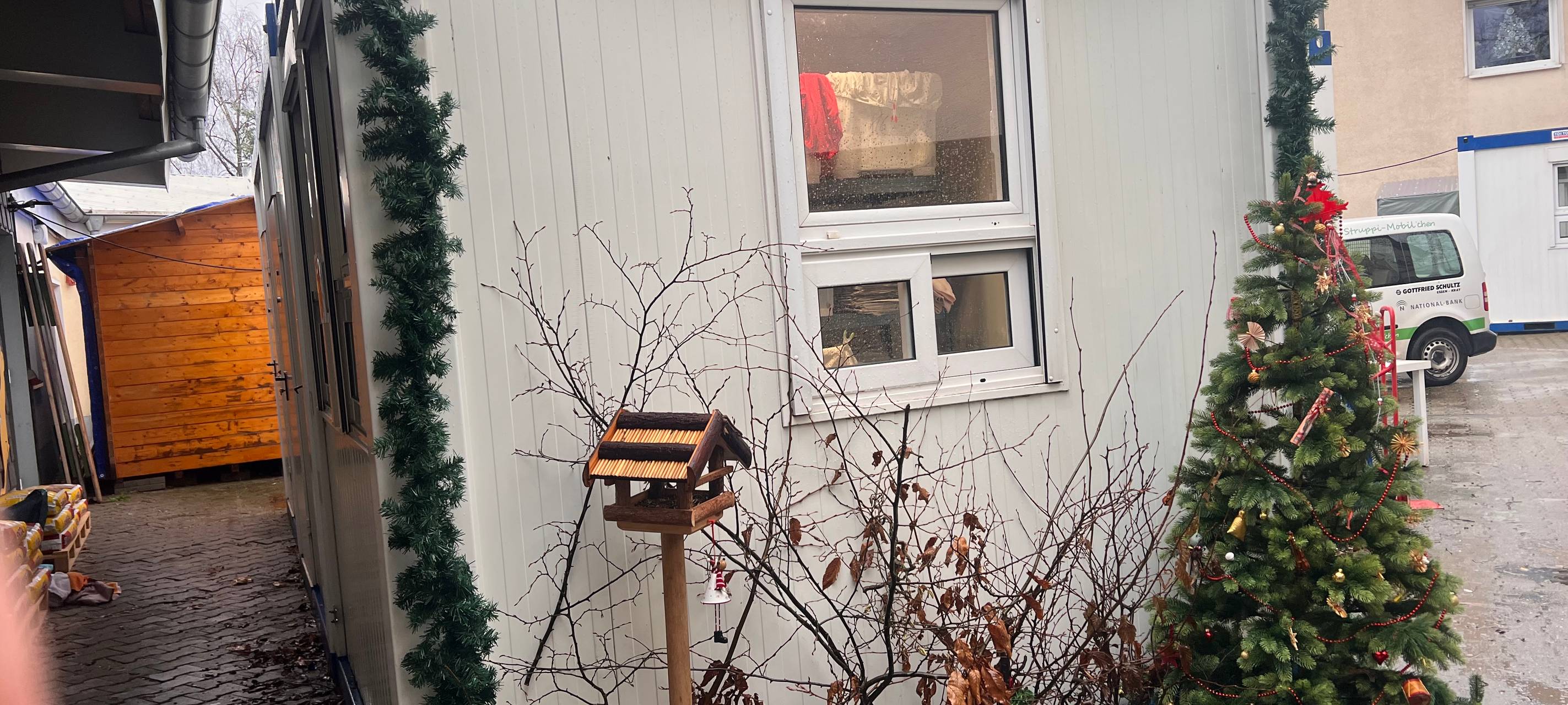 Tierheim Essen sucht Igel-Paten für den Winter