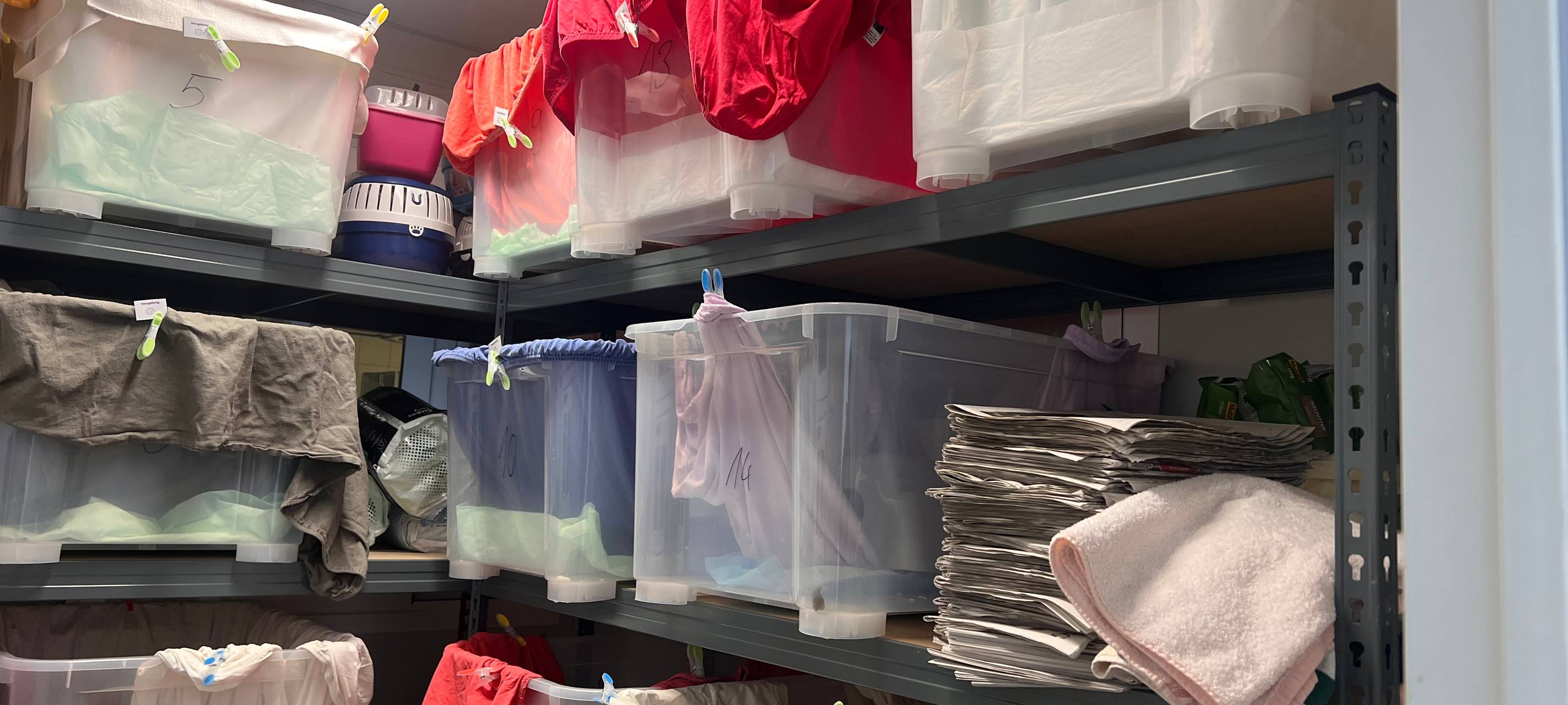 Tierheim Essen sucht Igel-Paten für den Winter