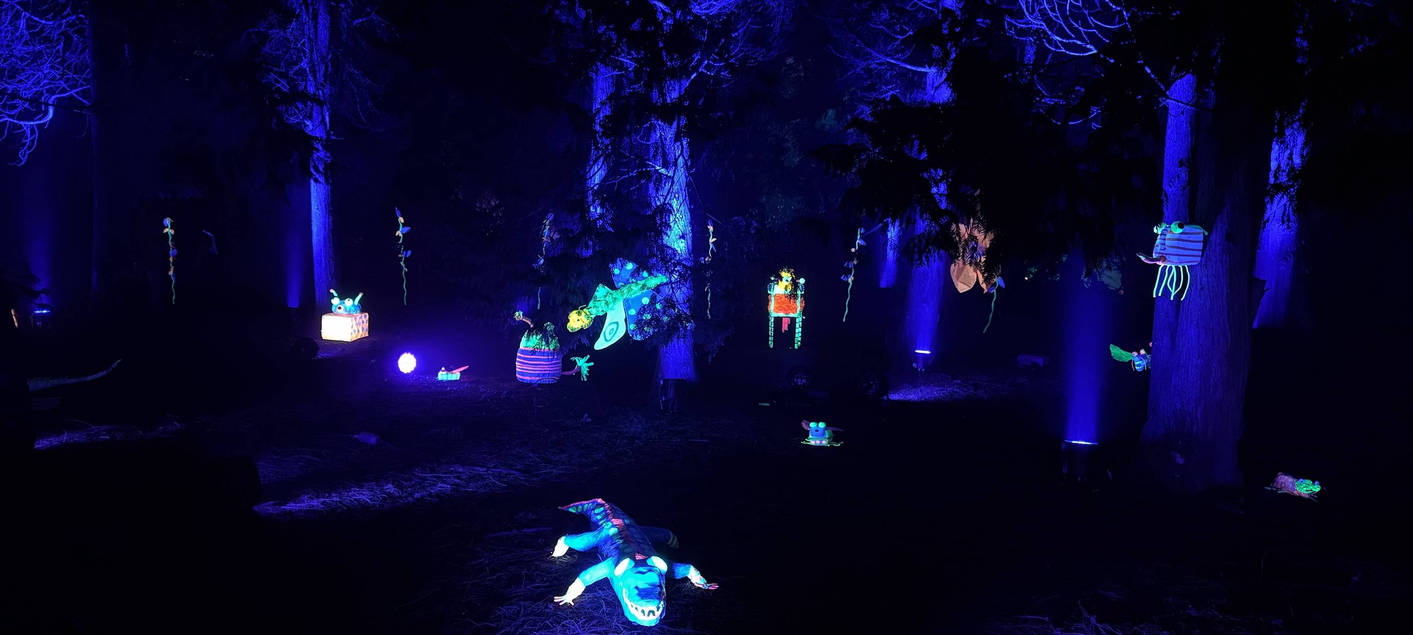 Grugapark Essen: Neue Highlights beim Parkleuchten