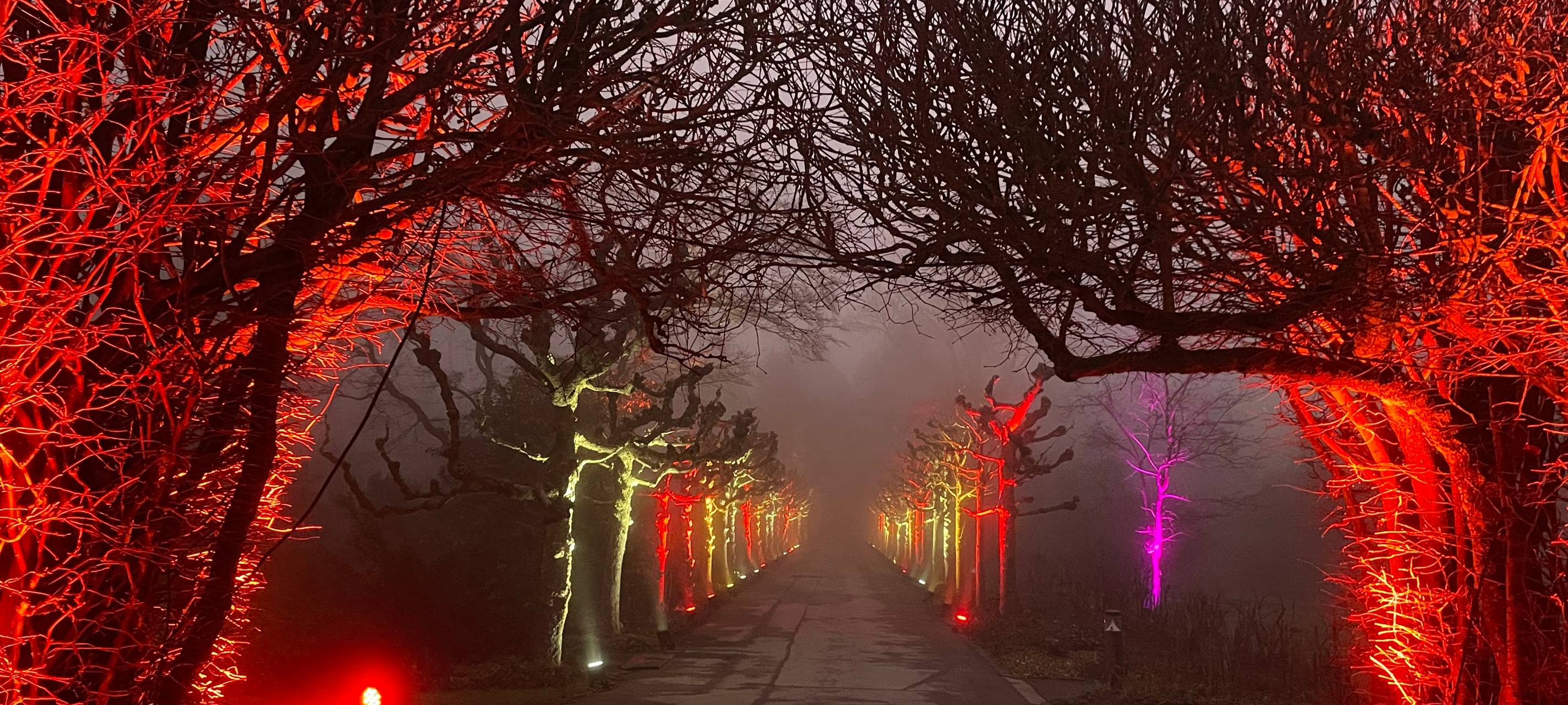 15 Jahre Parkleuchten in Essen: Wir haben die Highlights