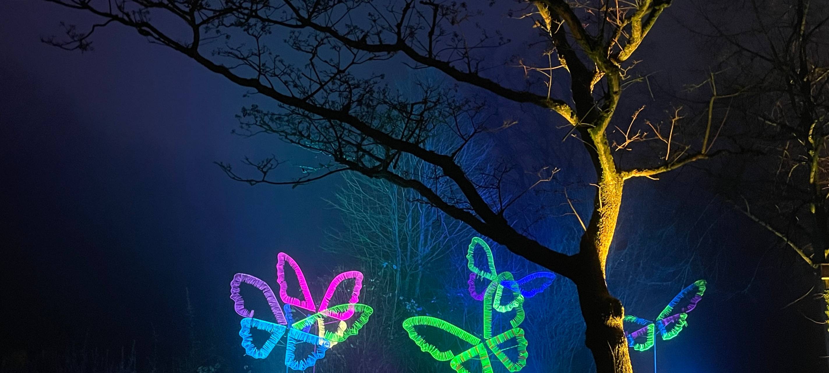 15 Jahre Parkleuchten in Essen: Wir haben die Highlights