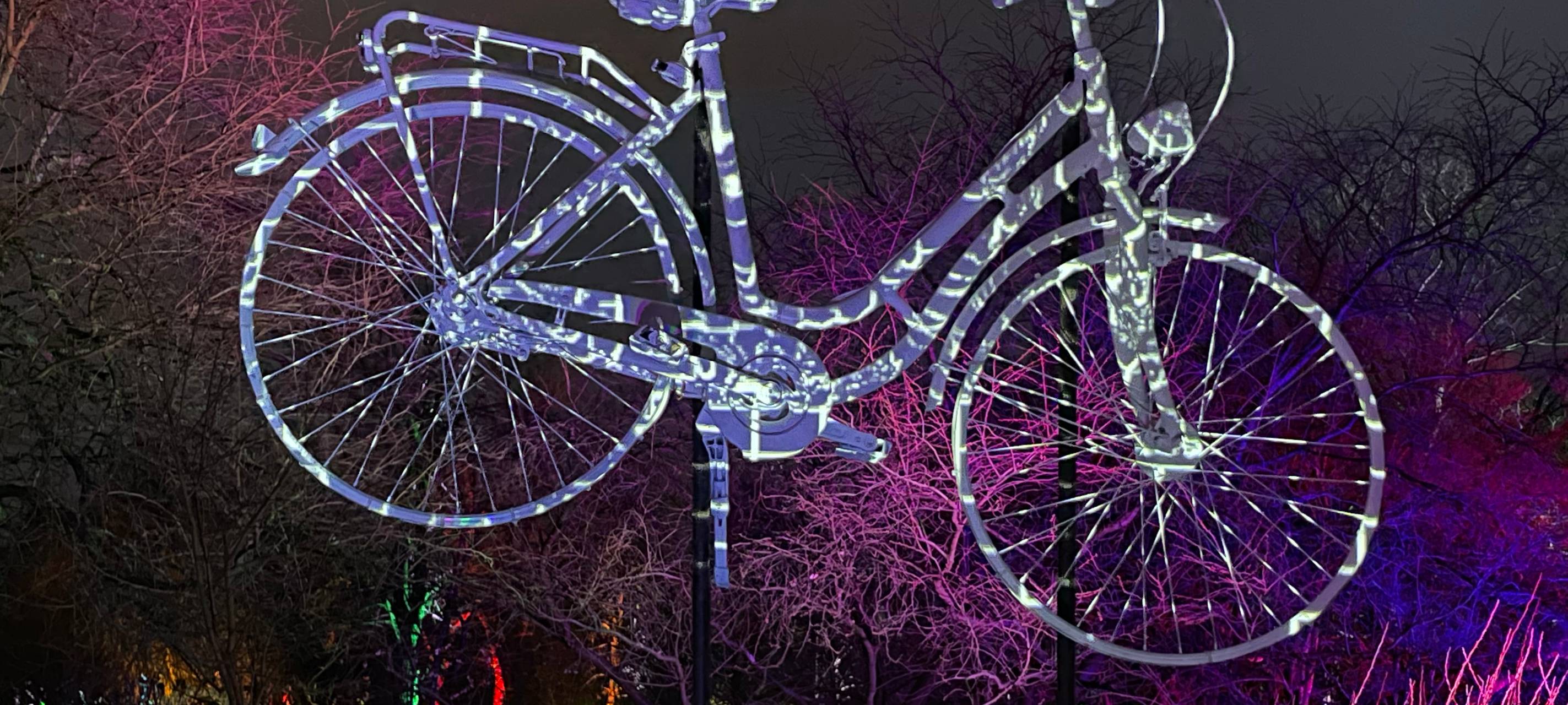 15 Jahre Parkleuchten in Essen: Wir haben die Highlights