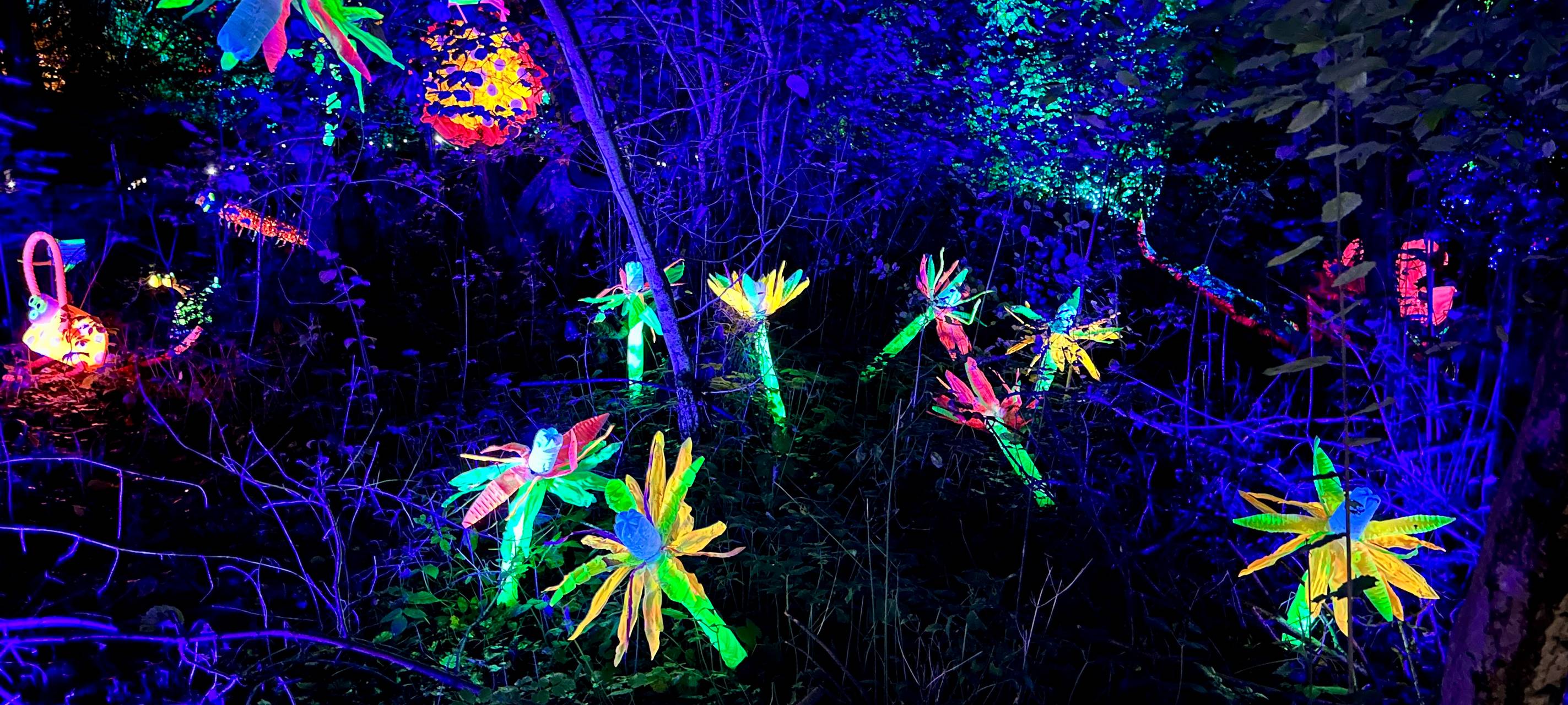 15 Jahre Parkleuchten in Essen: Wir haben die Highlights