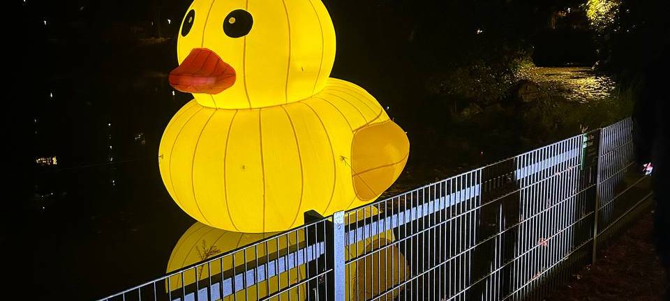 15 Jahre Parkleuchten in Essen: Wir haben die Highlights