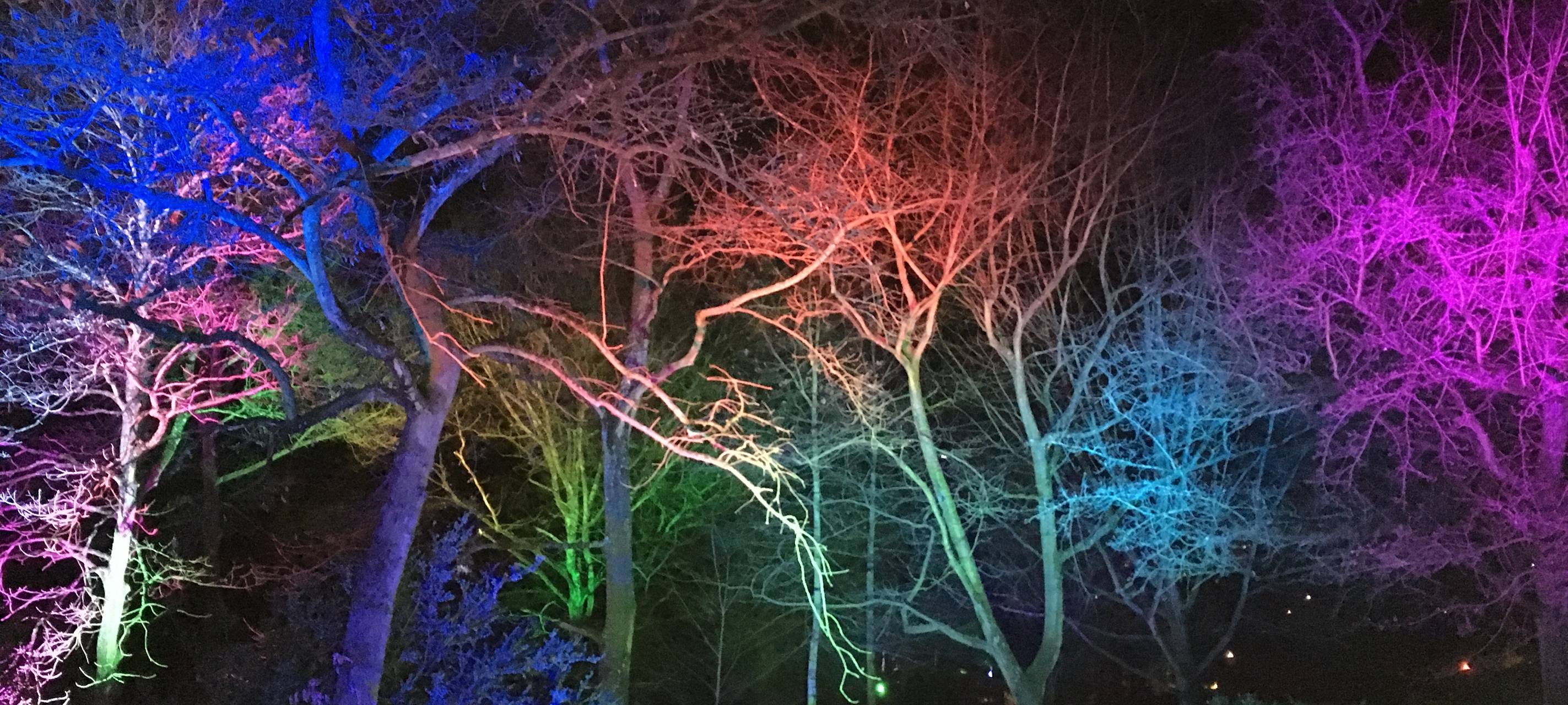 15 Jahre Parkleuchten in Essen: Wir haben die Highlights