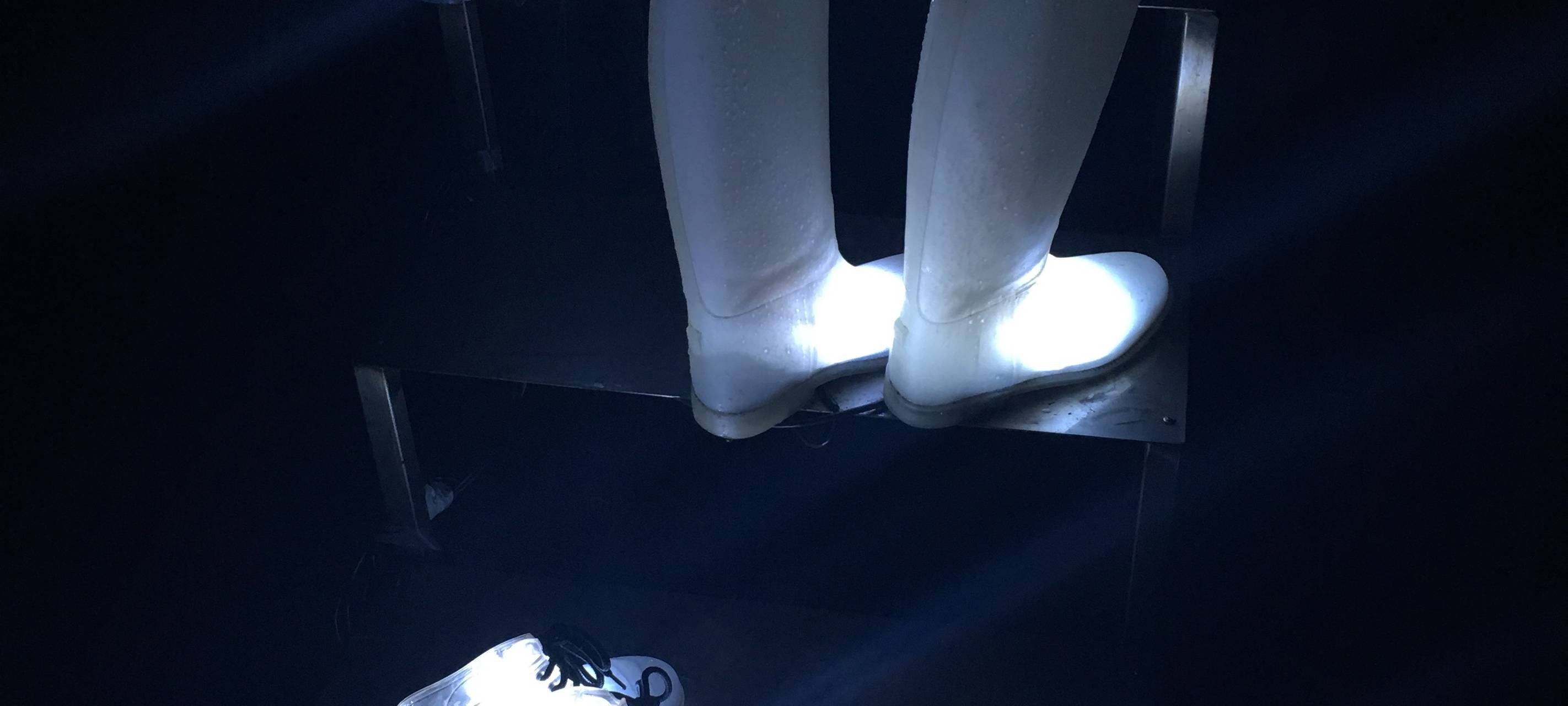 15 Jahre Parkleuchten in Essen: Wir haben die Highlights