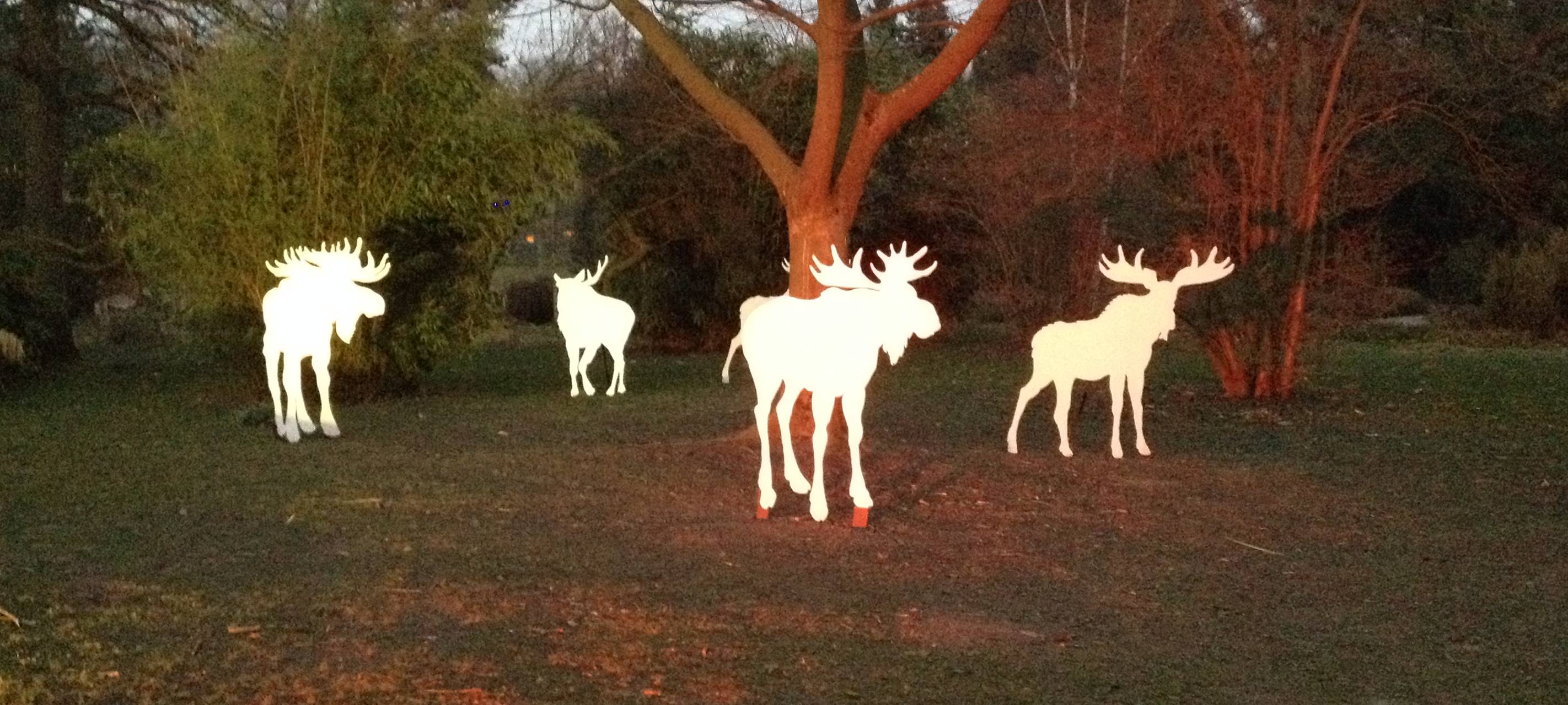 15 Jahre Parkleuchten in Essen: Wir haben die Highlights