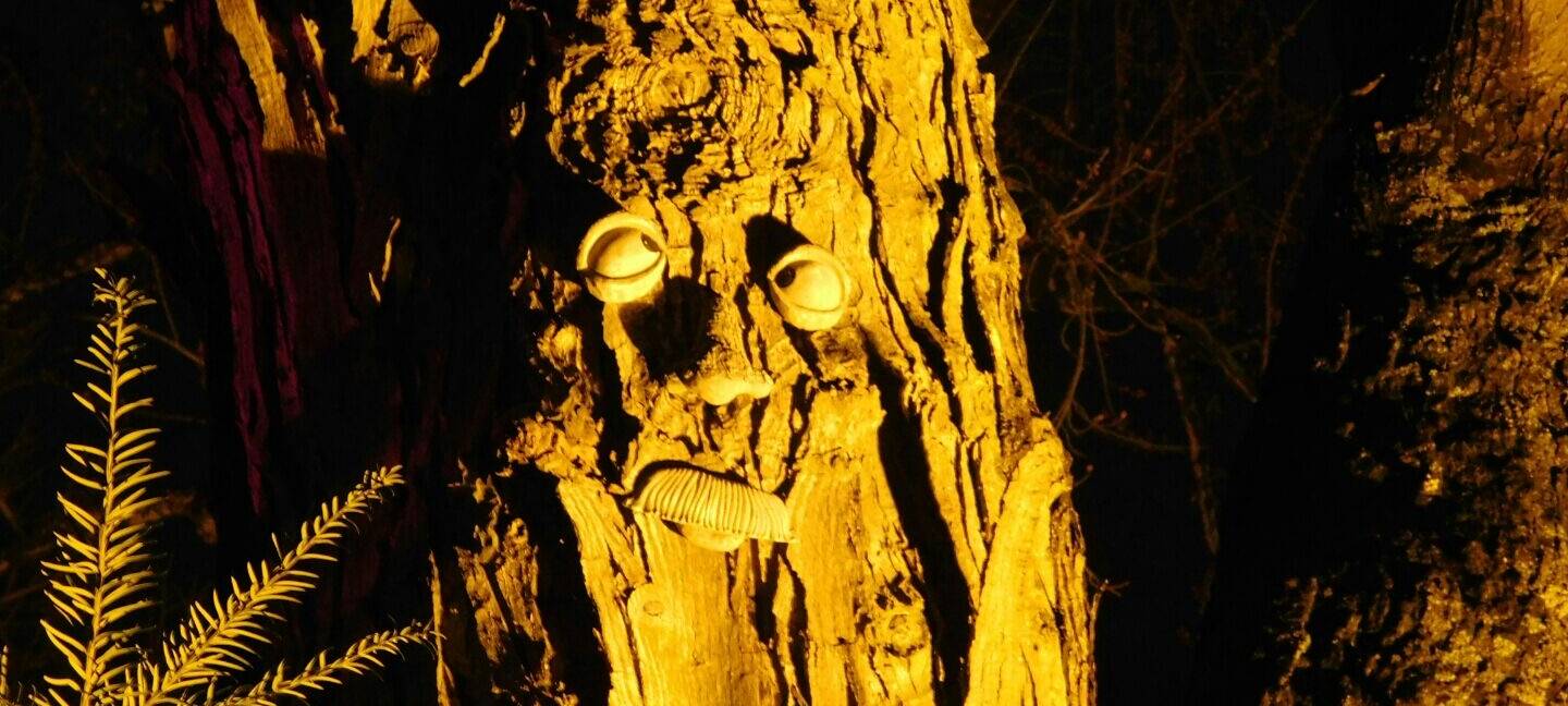 15 Jahre Parkleuchten in Essen: Wir haben die Highlights