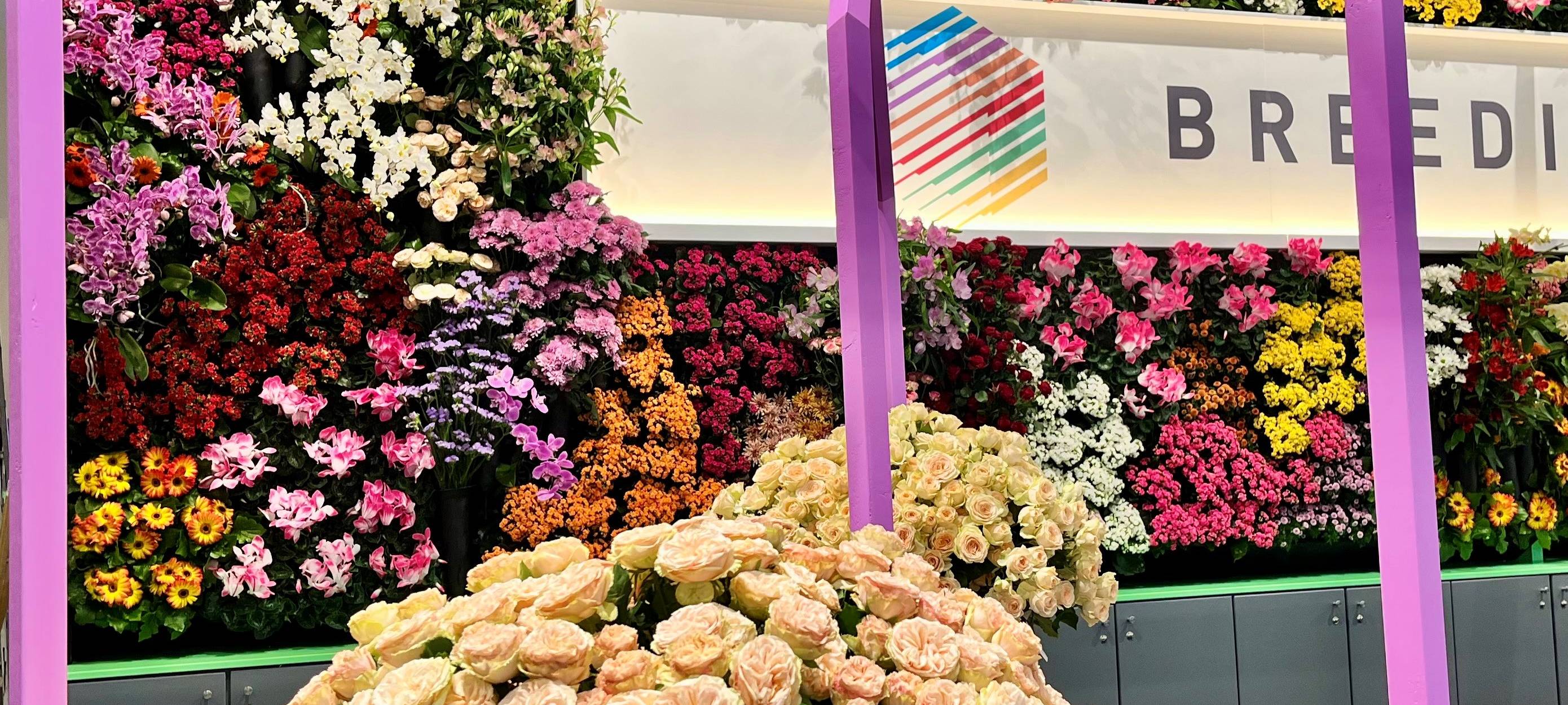 Internationale Pflanzen-Messe in Essen