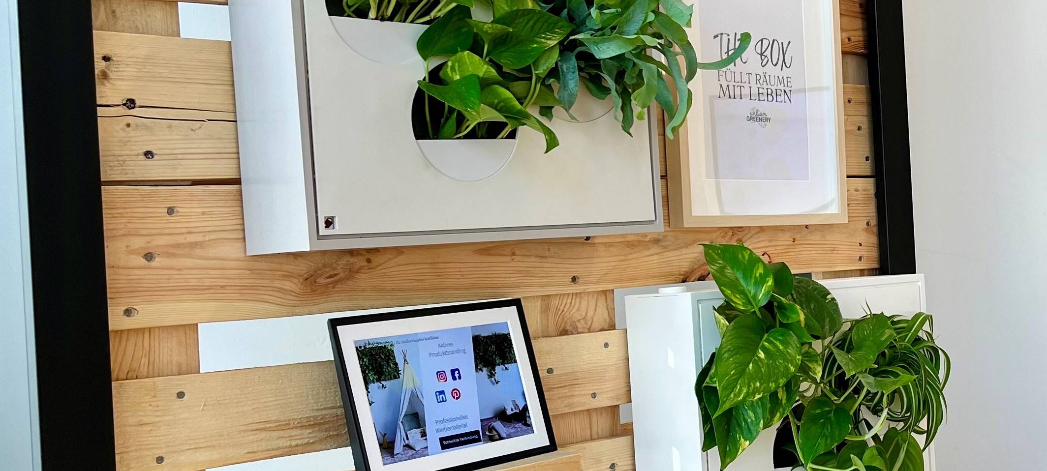 Internationale Pflanzen-Messe in Essen