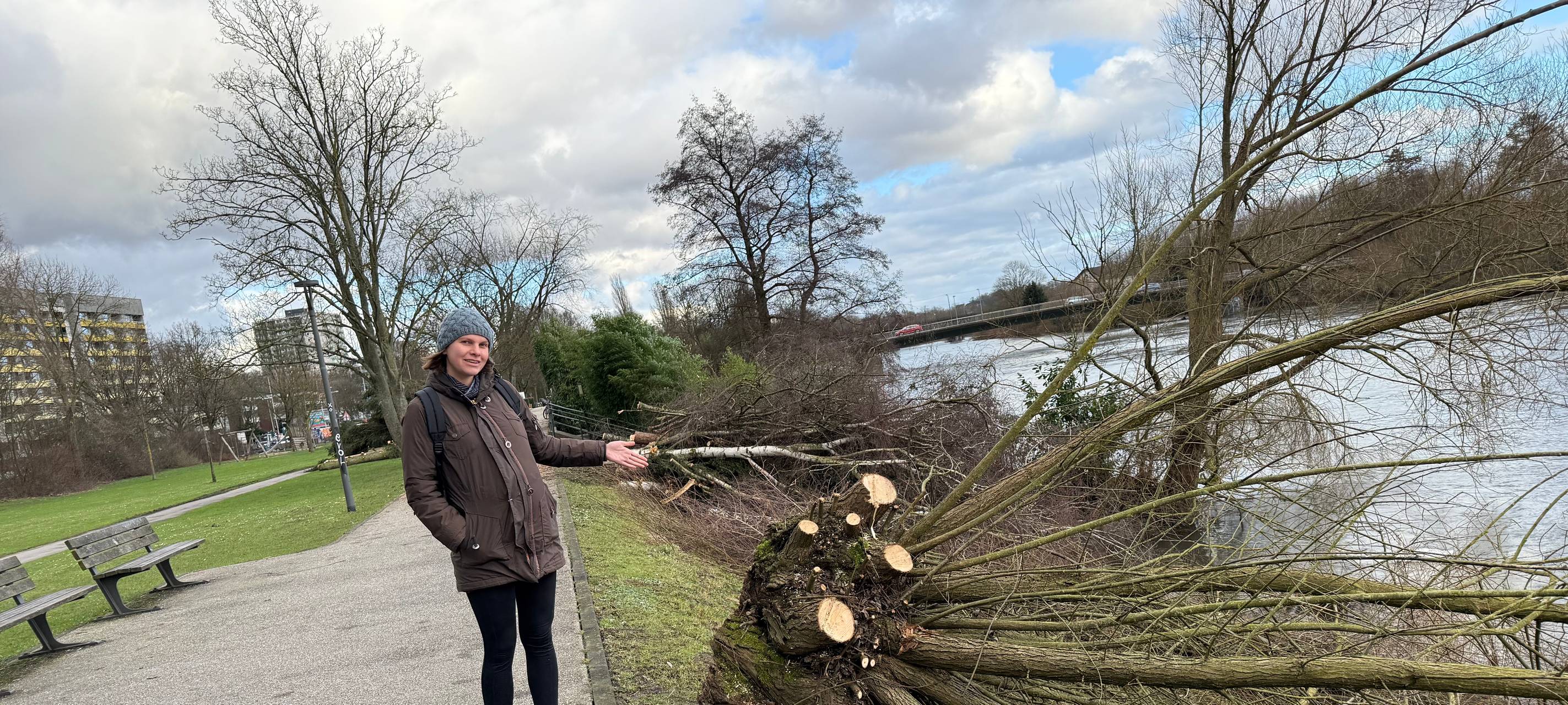 Hier werden in Essen Bäume für den Hochwasserschutz gefällt