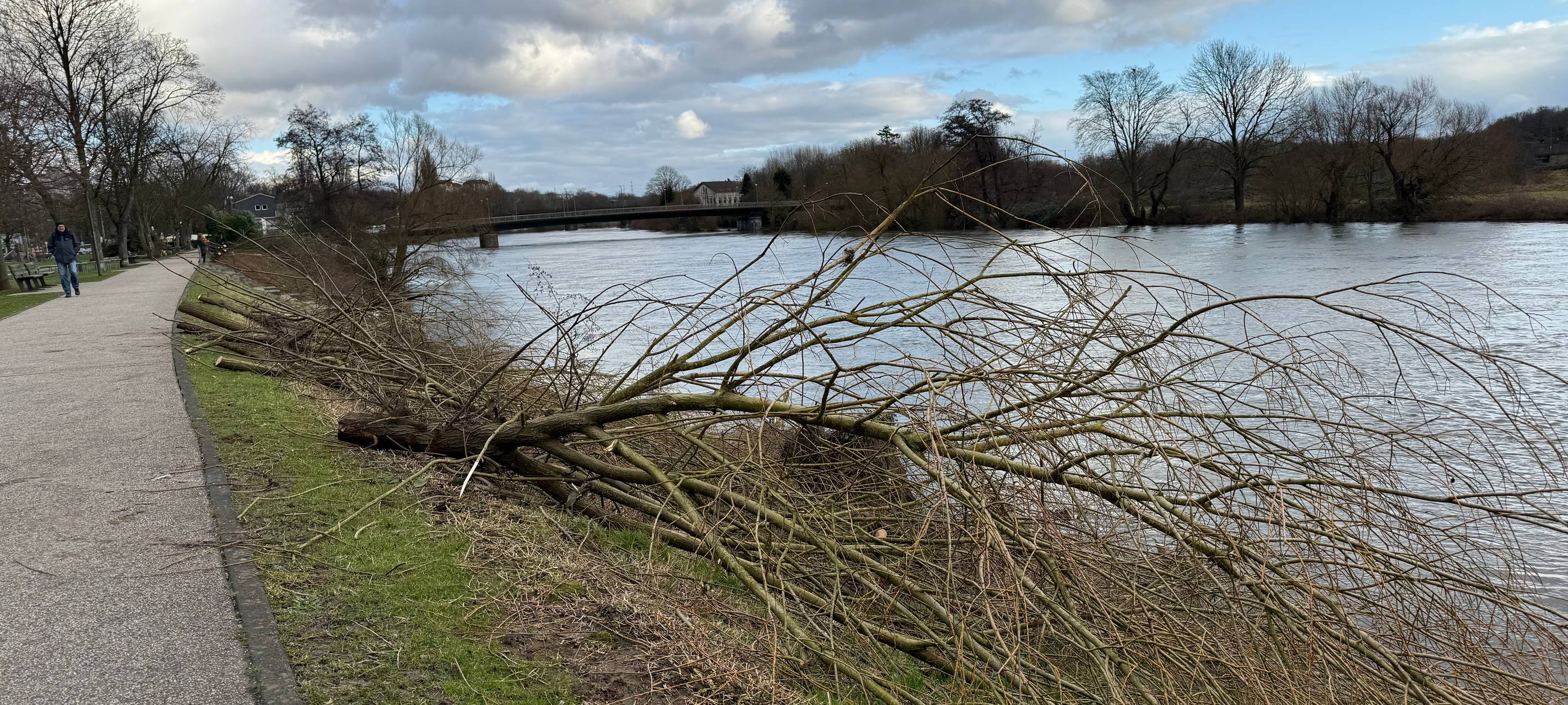 Hier werden in Essen Bäume für den Hochwasserschutz gefällt