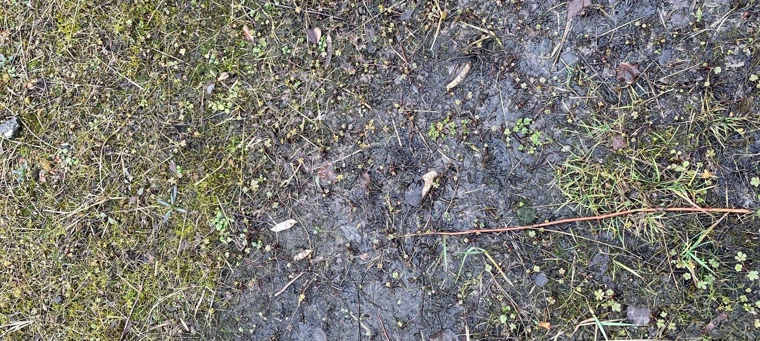 Jubiläum in Essen: 20 Jahre Zollverein Park