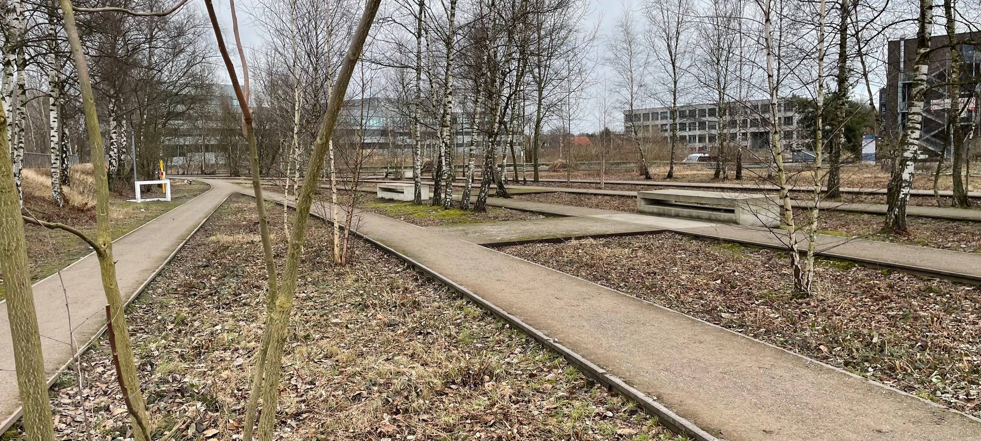 Jubiläum in Essen: 20 Jahre Zollverein Park