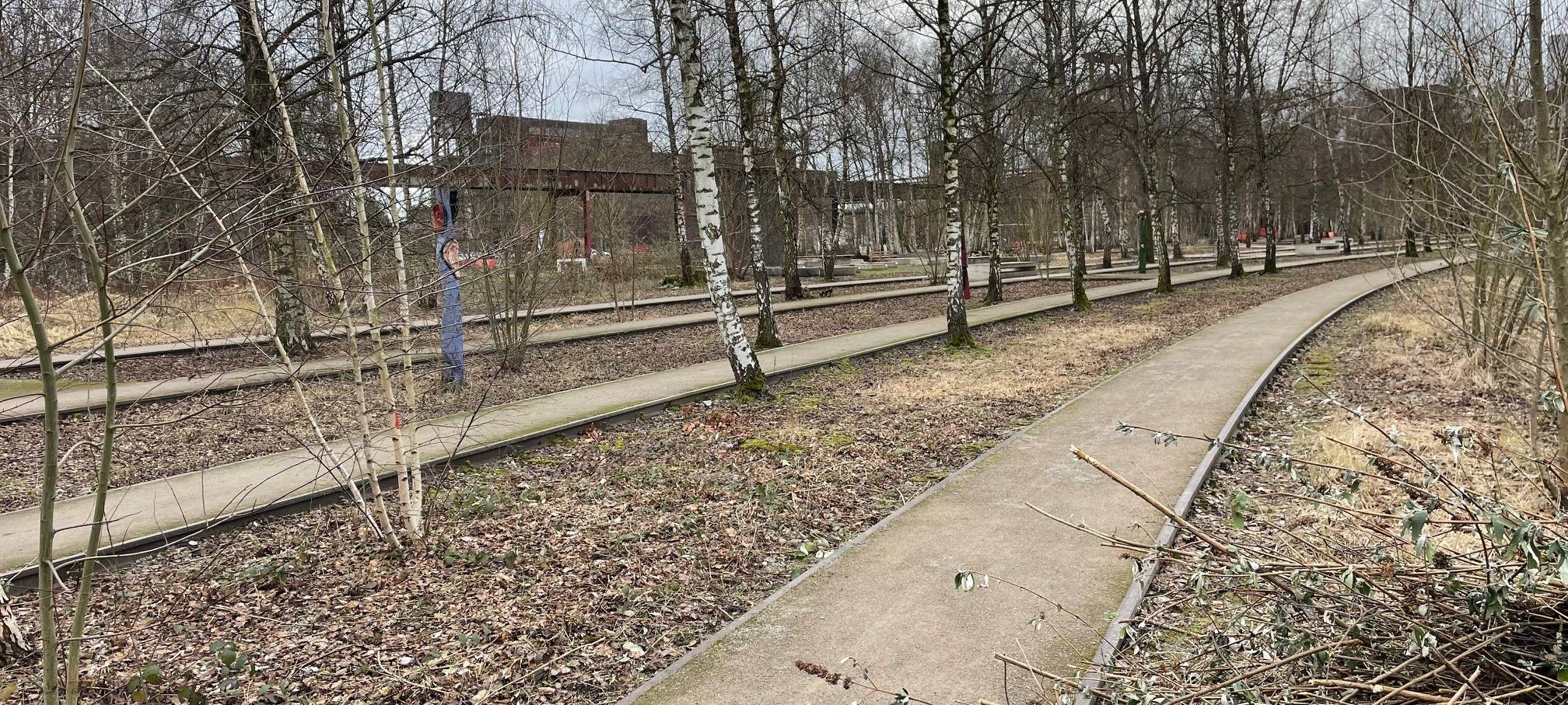 Jubiläum in Essen: 20 Jahre Zollverein Park