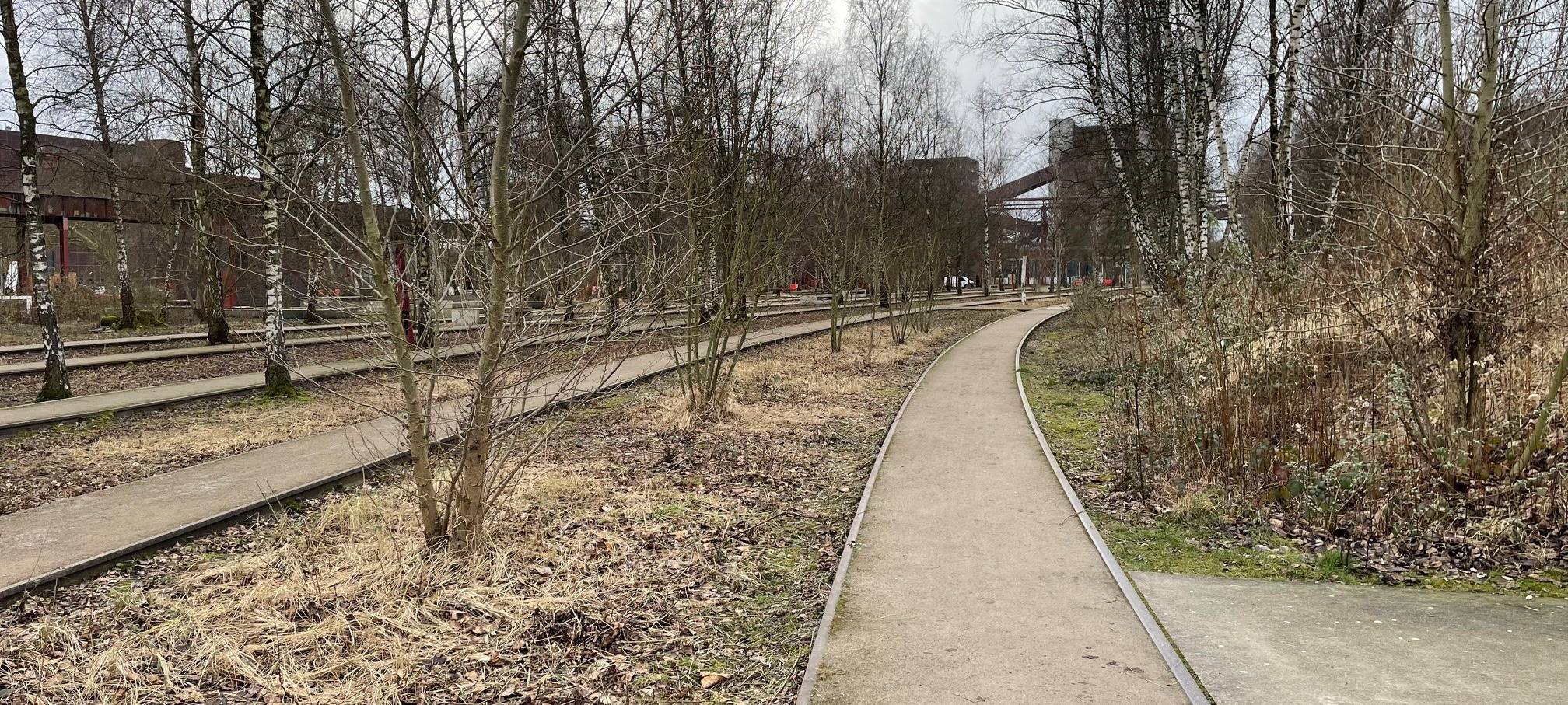 Jubiläum in Essen: 20 Jahre Zollverein Park