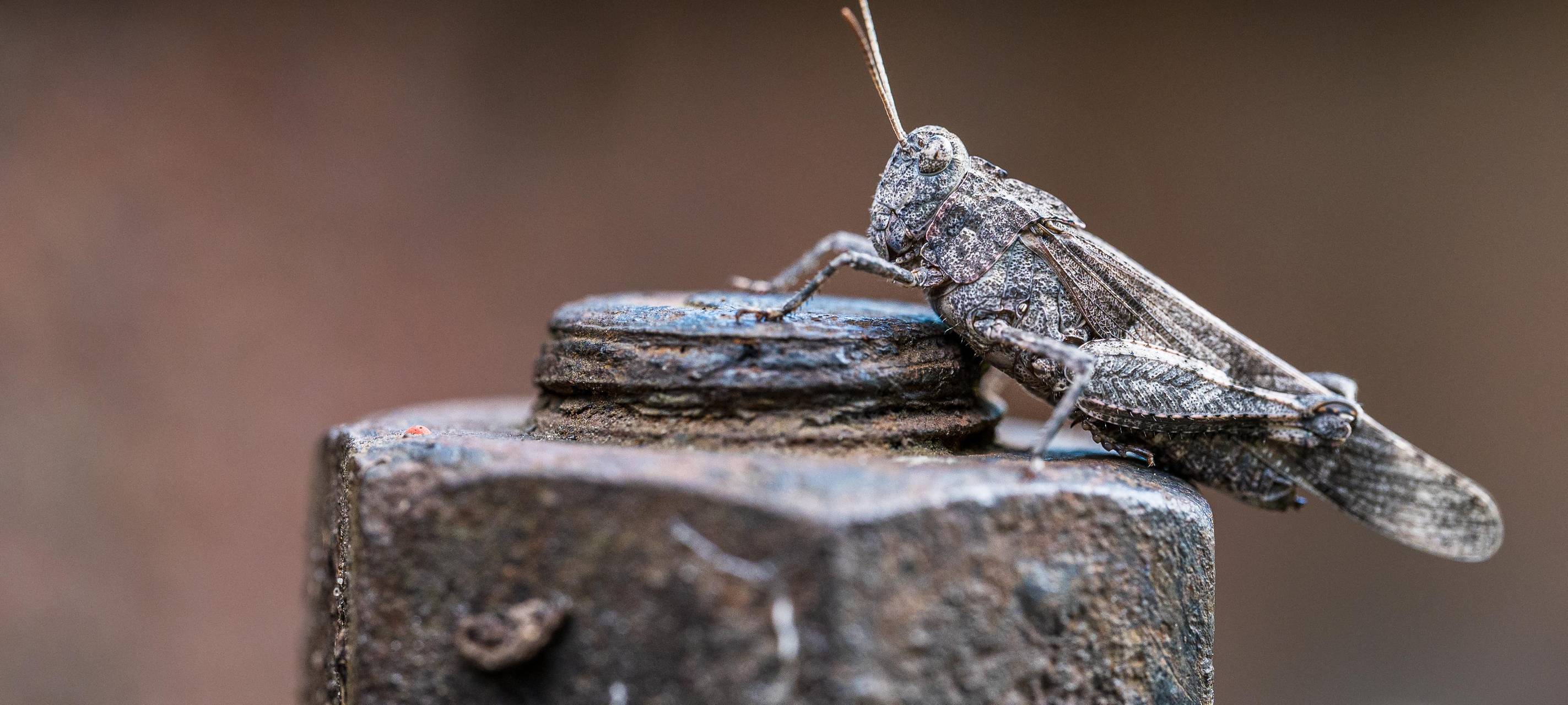 Jubiläum in Essen: 20 Jahre Zollverein Park