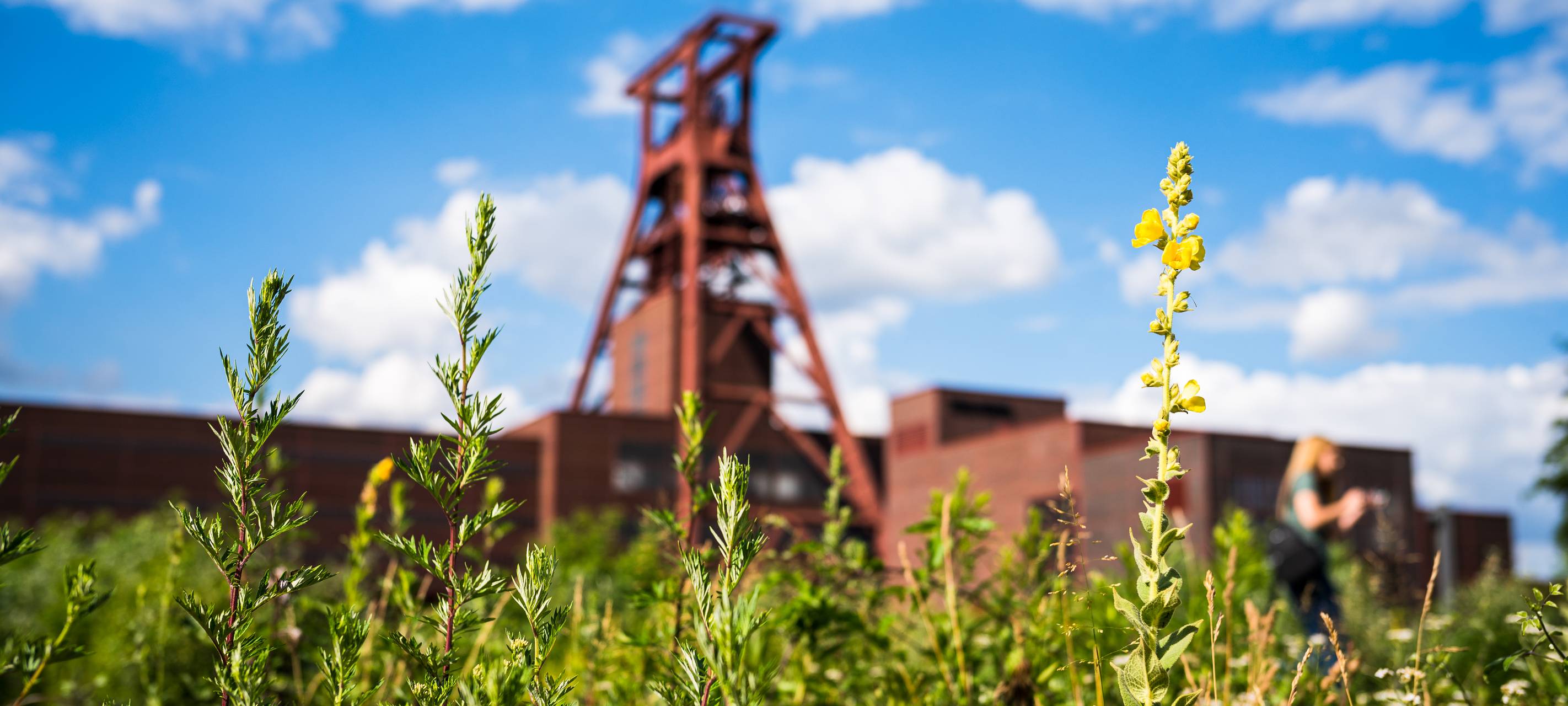 Viele Touristen kommen ins Ruhrgebiet - Auch zu uns nach Essen
