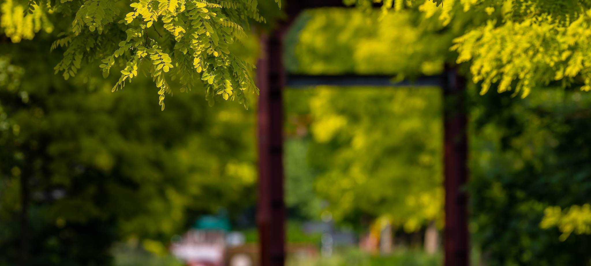 Jubiläum in Essen: 20 Jahre Zollverein Park