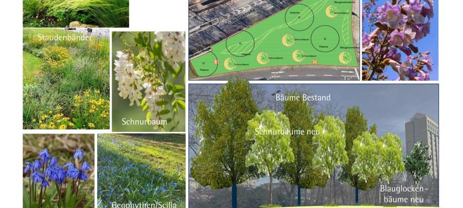 "Bernewäldchen" in Essen wurde umgestaltet