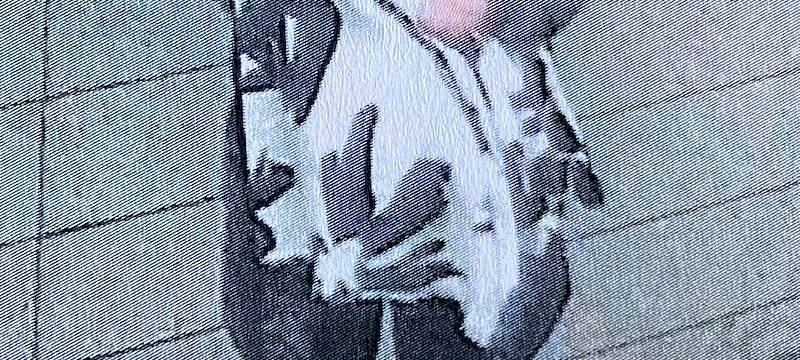 Verdächtige Diebin in Essen