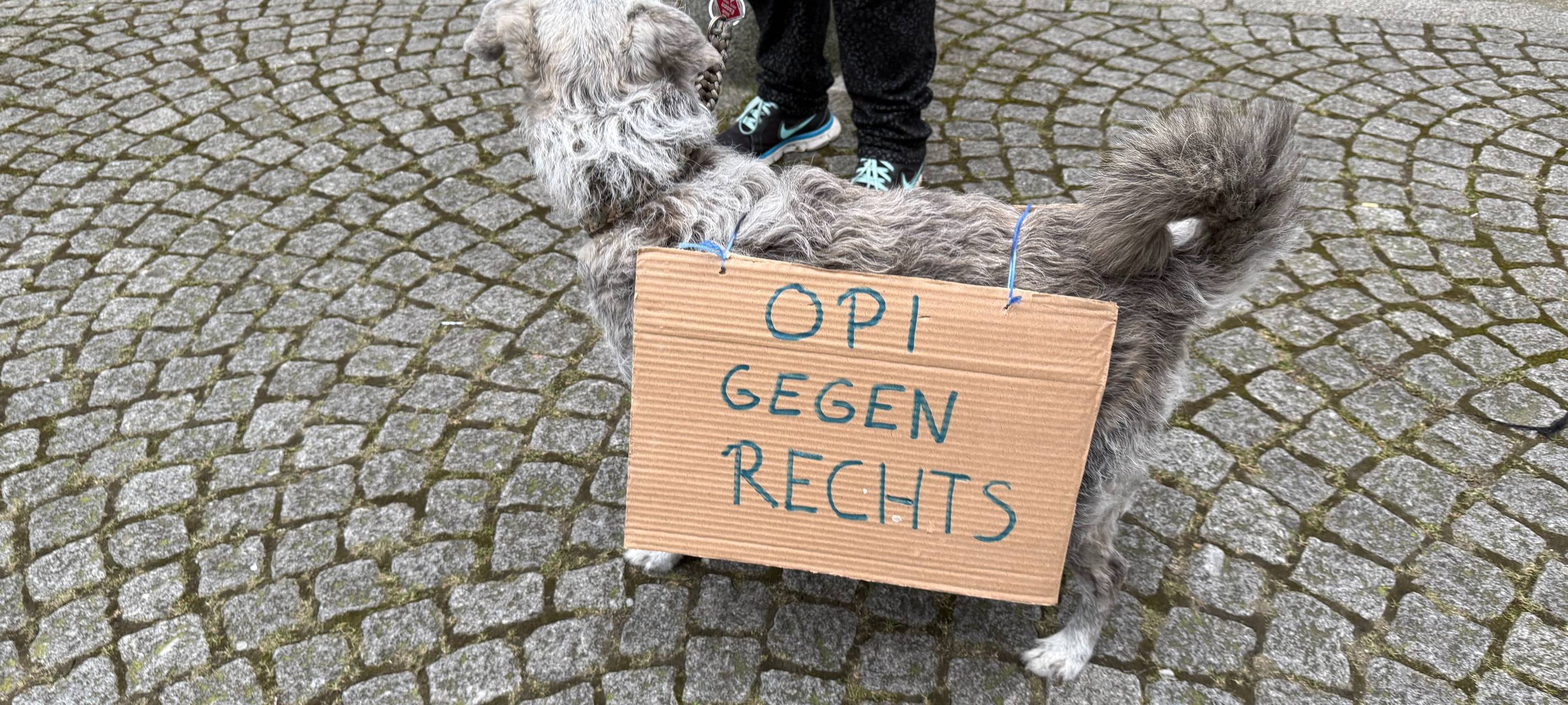 Nochmal große Demo in Essen: Protest gegen Rechts