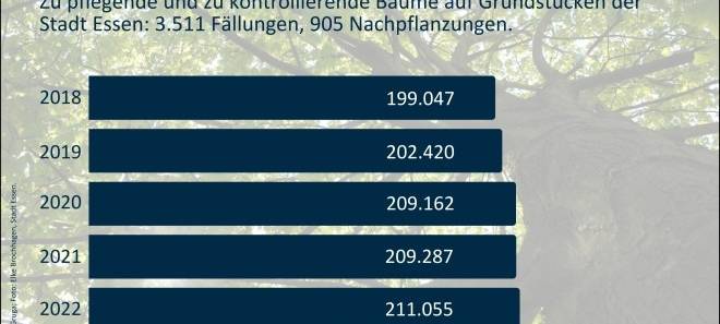 In Essen stehen weniger Bäume: Die Stadt will dagegen steuern