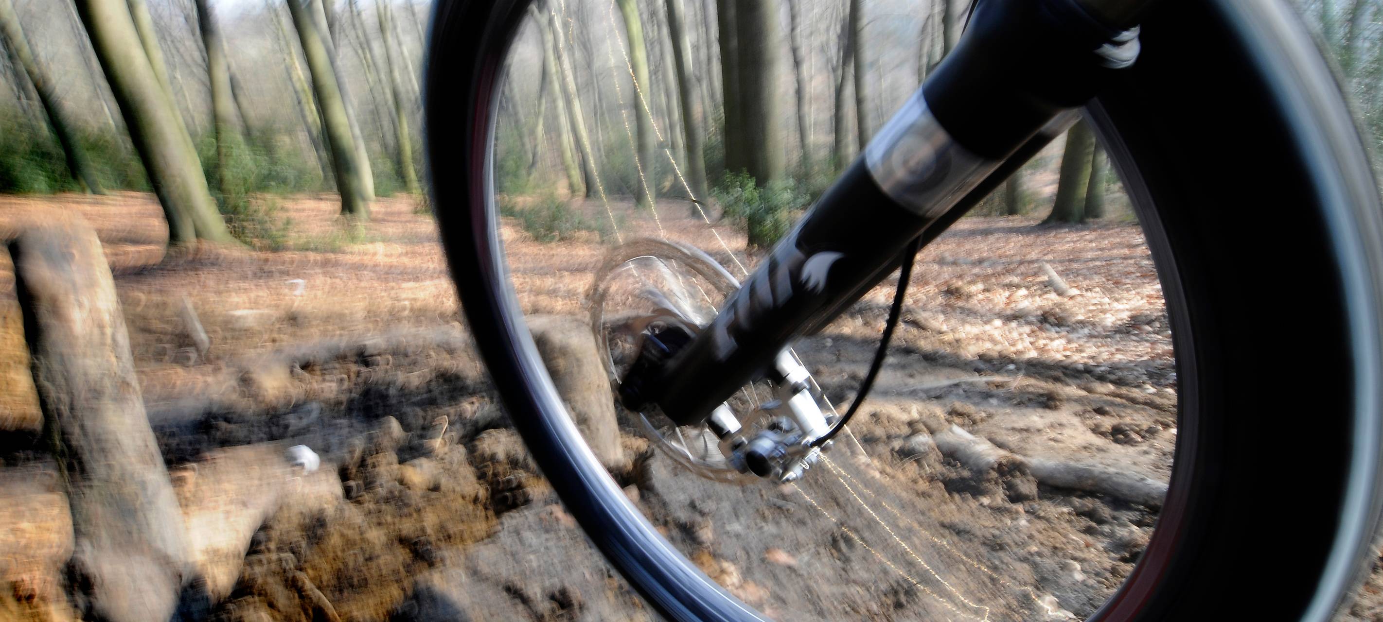 Ehemaliger Sportplatz in Essen: Dirtbike-Anlage oder Kita?